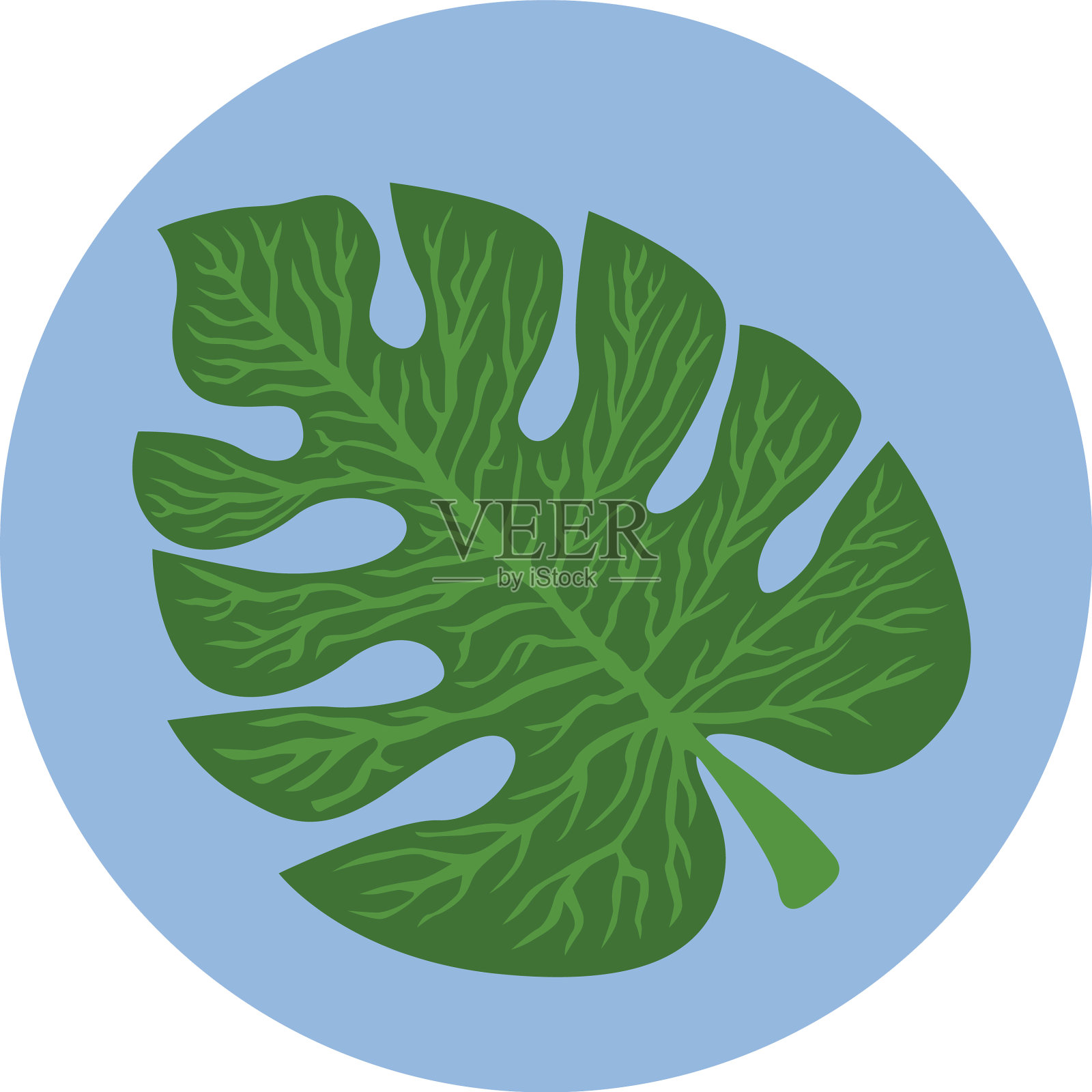 白色背景下树叶的特写镜头设计元素图片