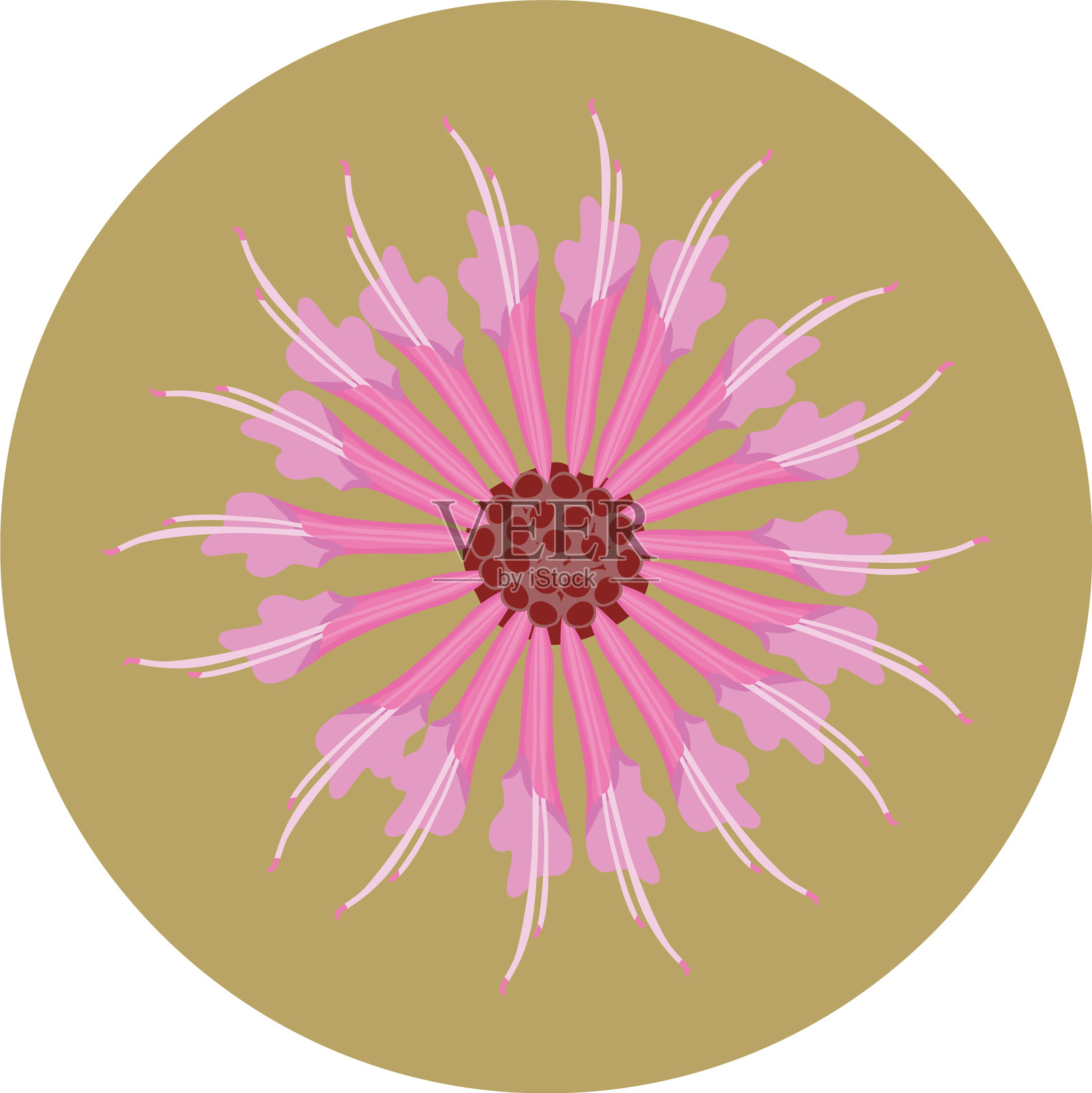 粉红色背景下的花朵特写镜头设计元素图片