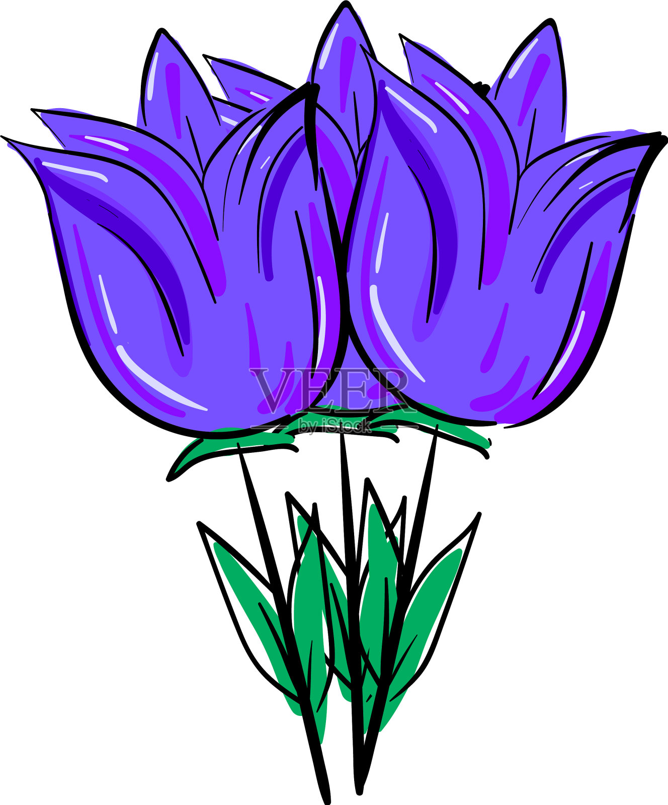 画两朵紫罗兰或颜色设计元素图片