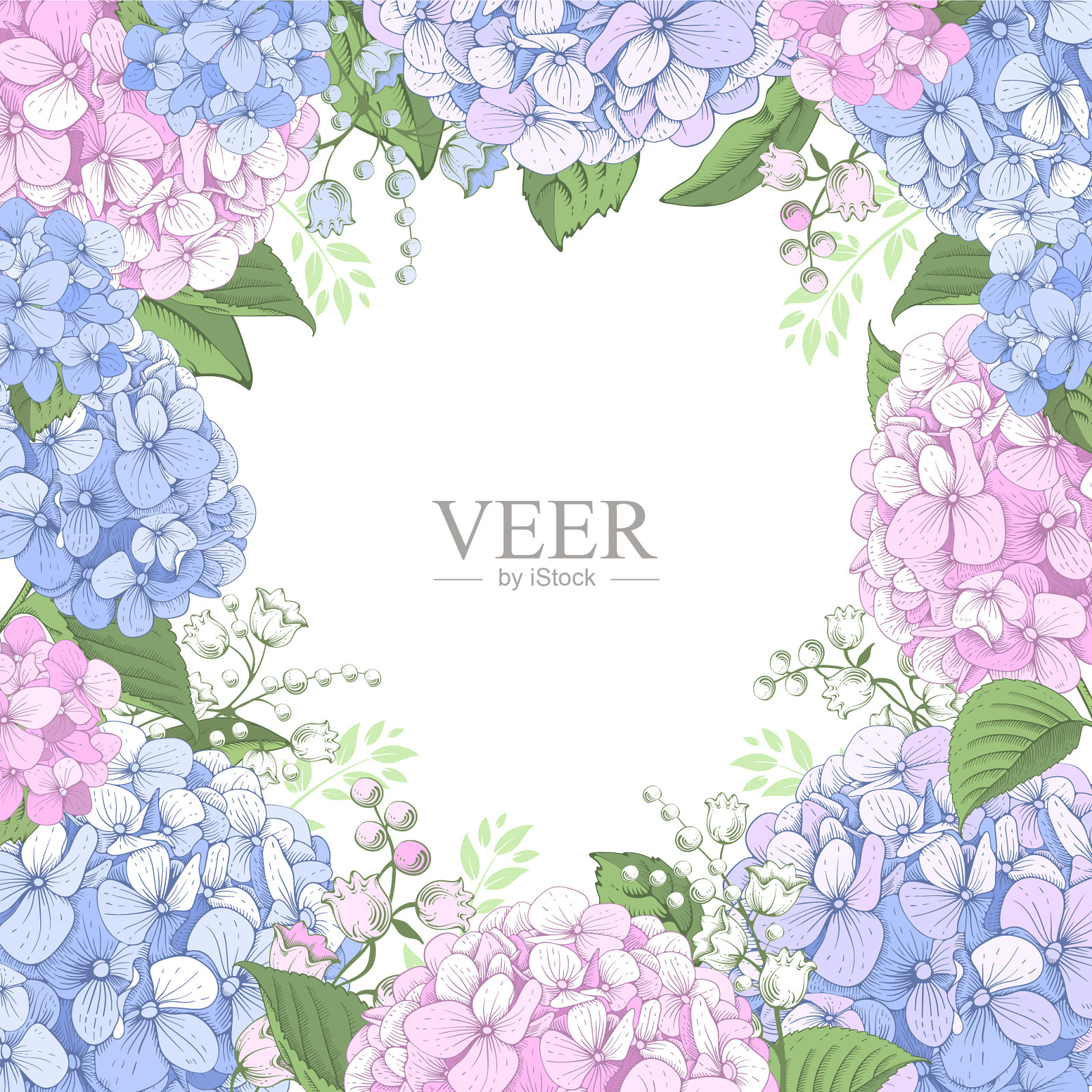 花框架与绣球花插画图片素材