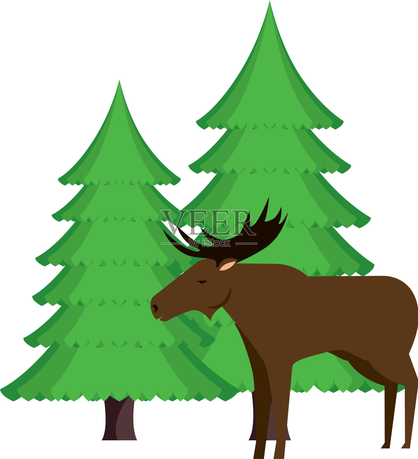 加拿大野生的有松树林的麋鹿设计元素图片