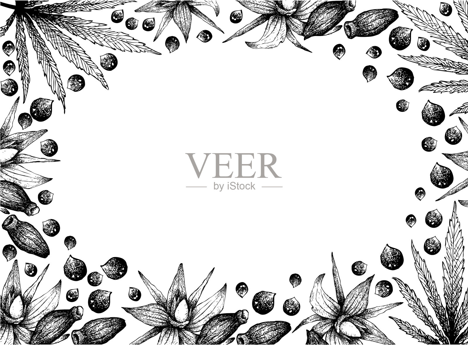 手工画框琉璃苣种子与大麻叶插画图片素材