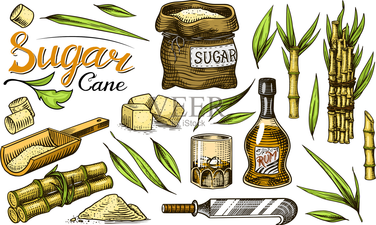 甘蔗用甘蔗叶套甘蔗设计元素图片