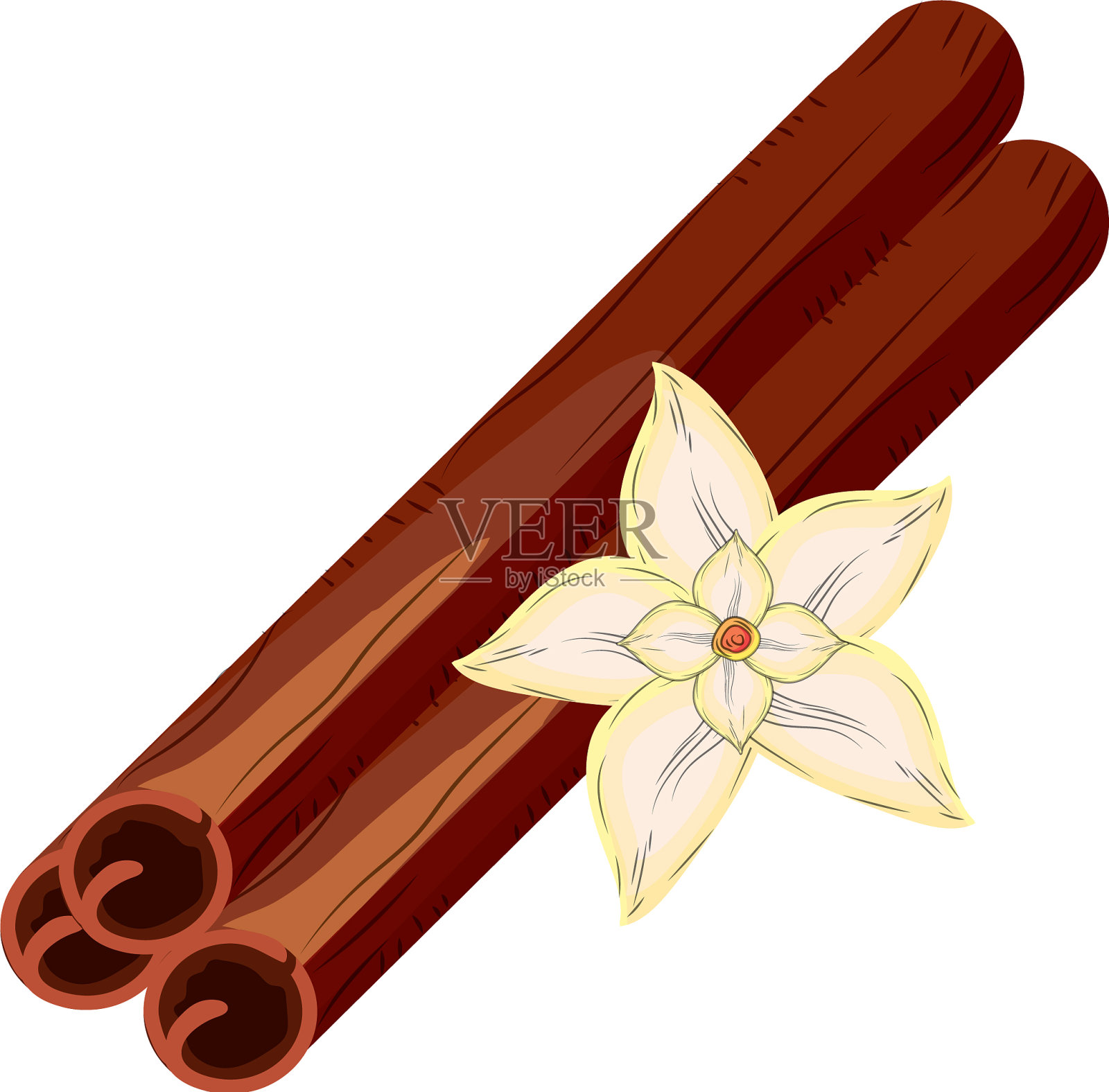 鲜肉桂，天然香料设计元素图片