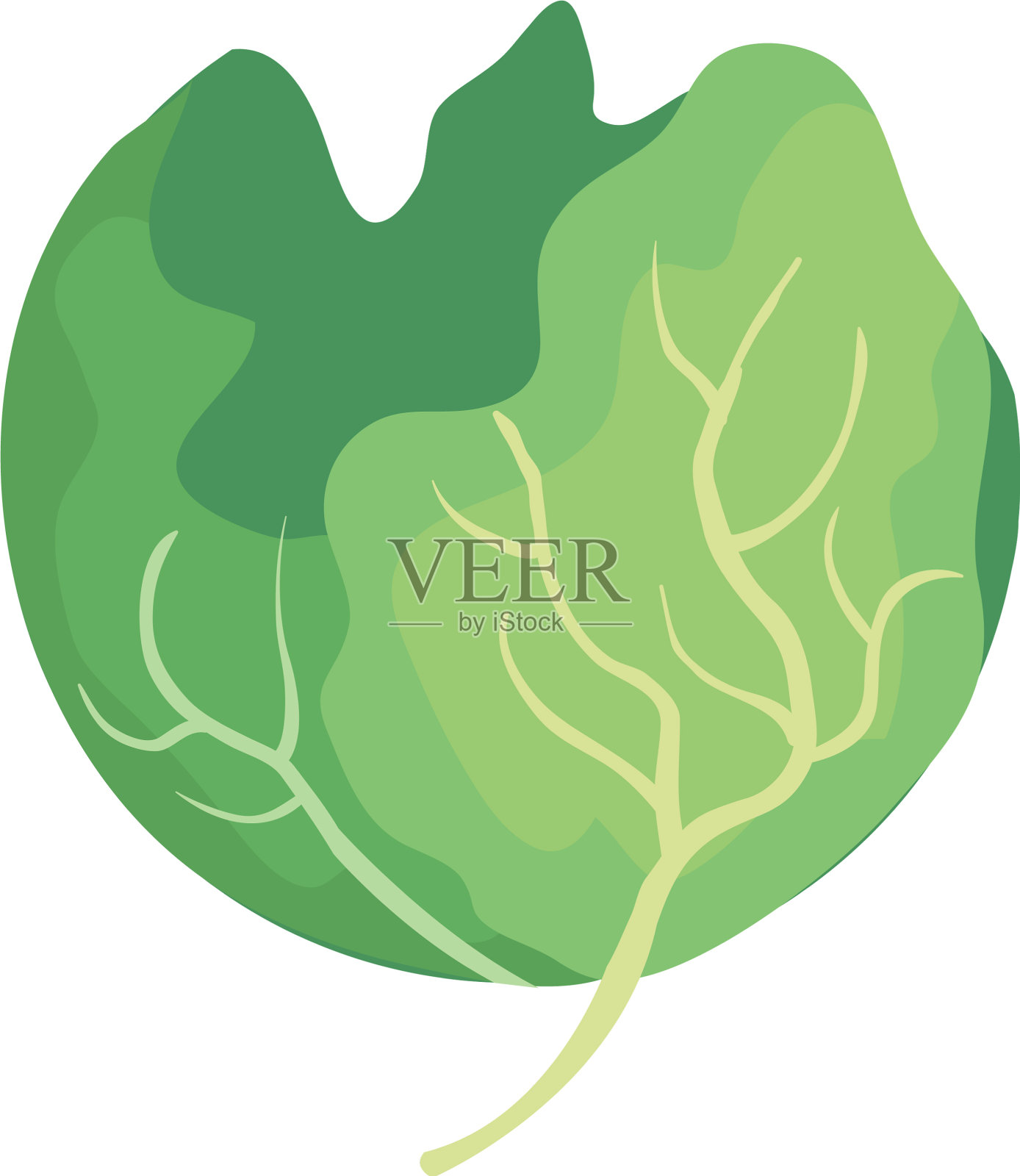 新鲜生菜蔬菜偶像设计元素图片