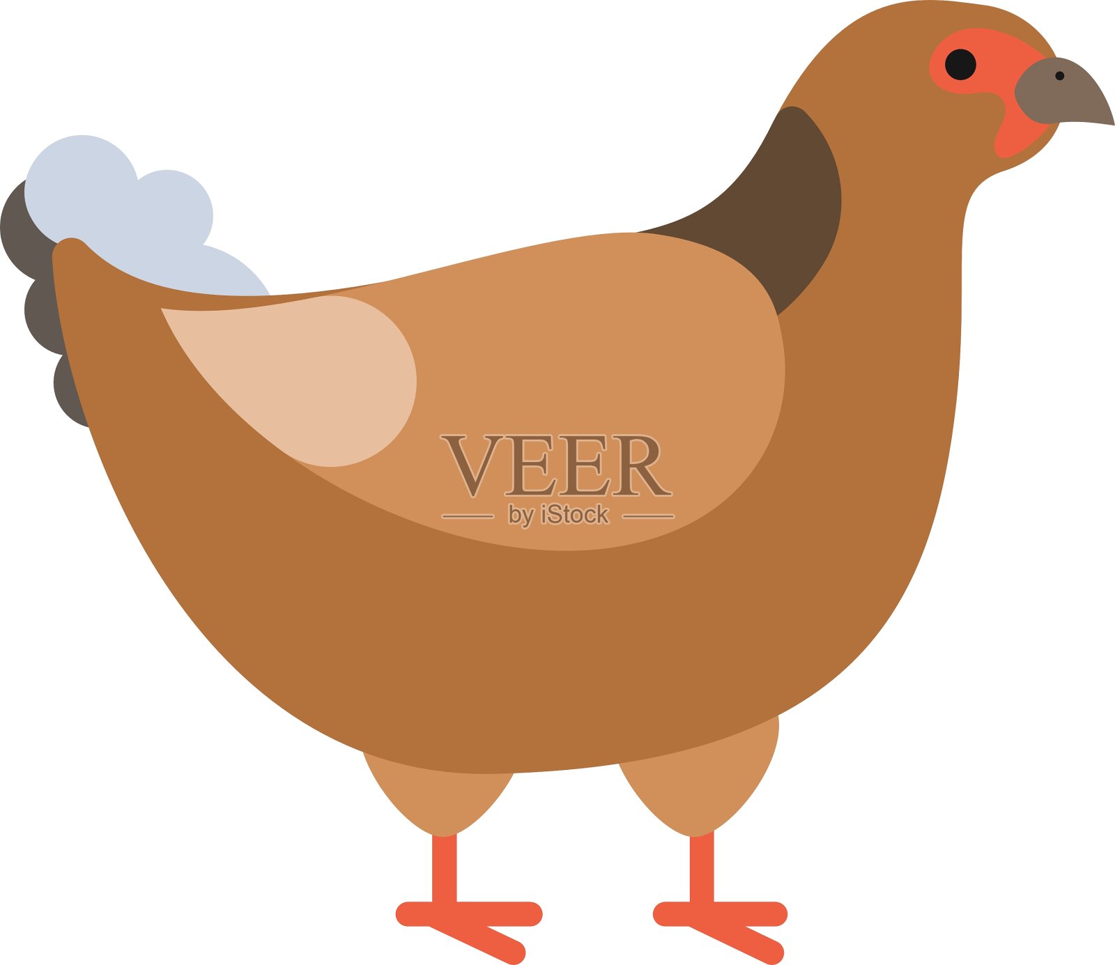 野生山鸡pheasan设计元素图片