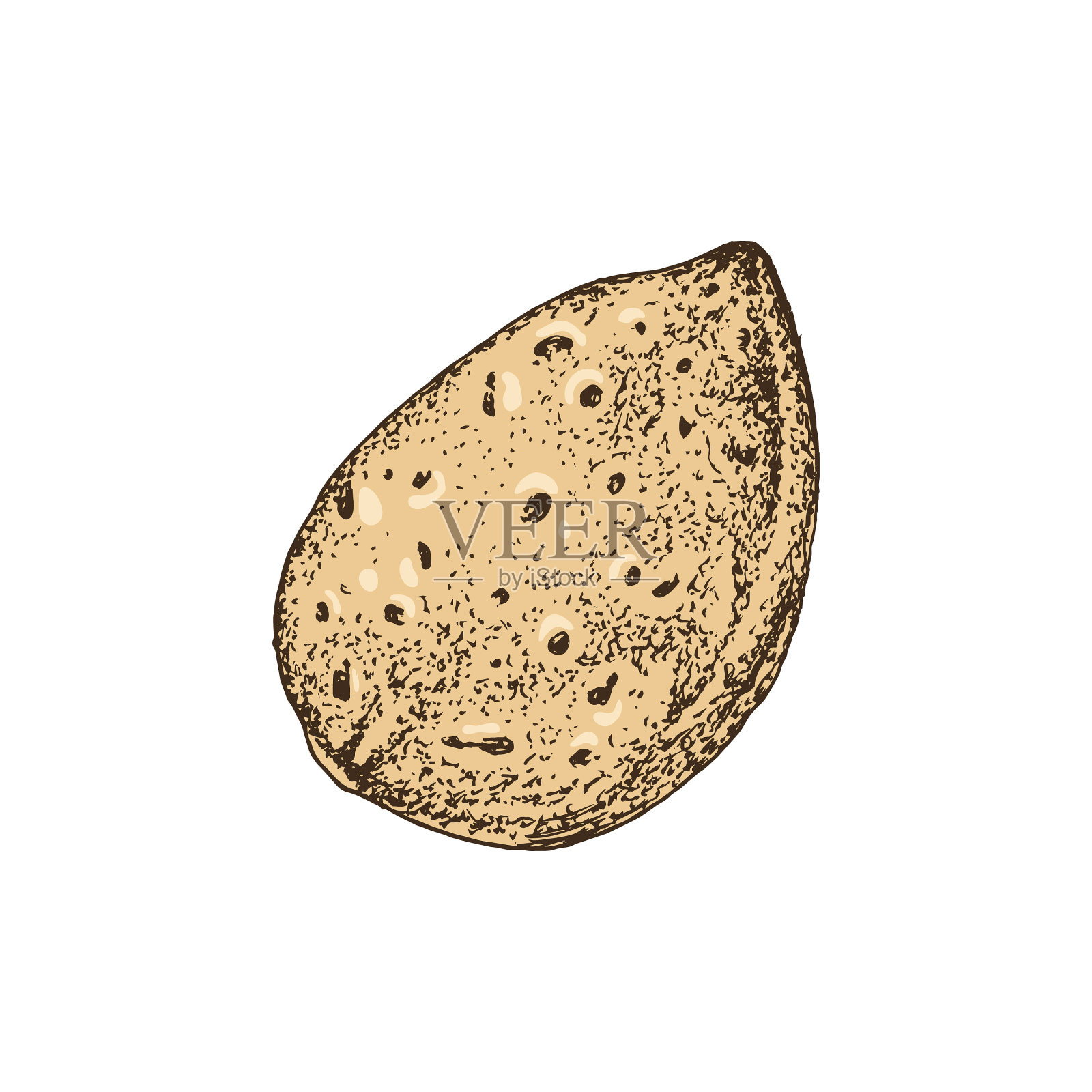 手画杏仁壳设计元素图片