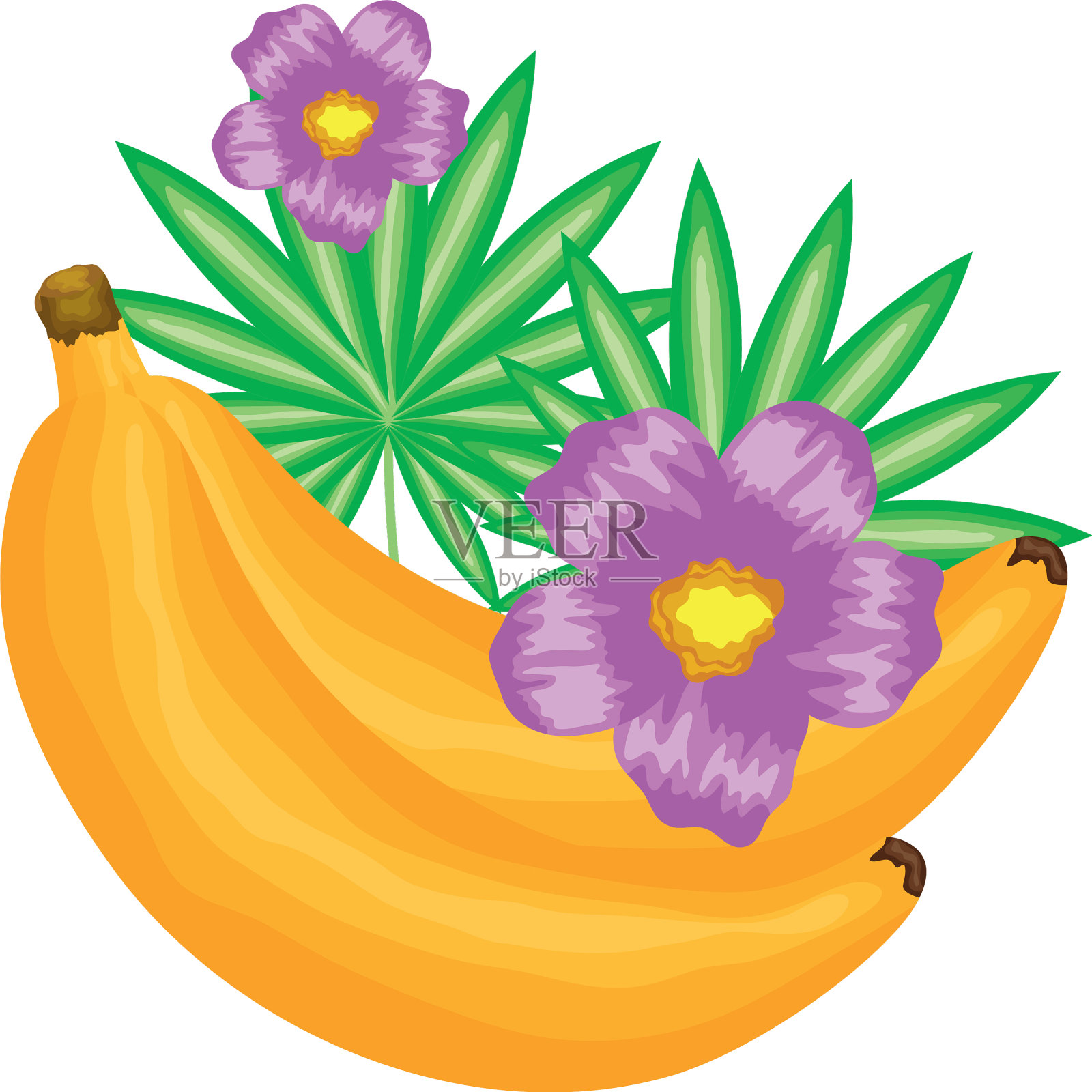 新鲜的带花的香蕉水果设计元素图片