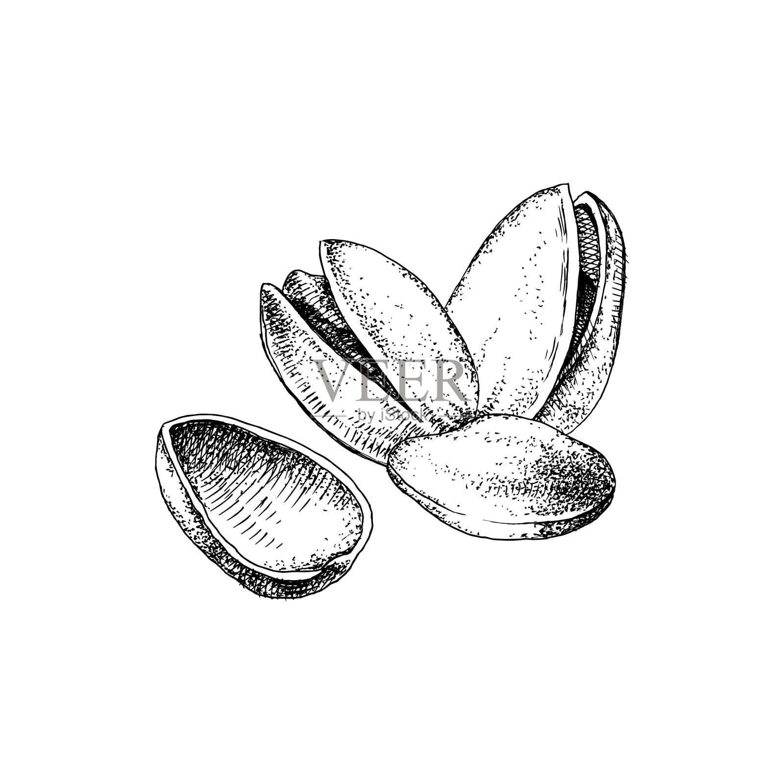手绘开心果设计元素图片
