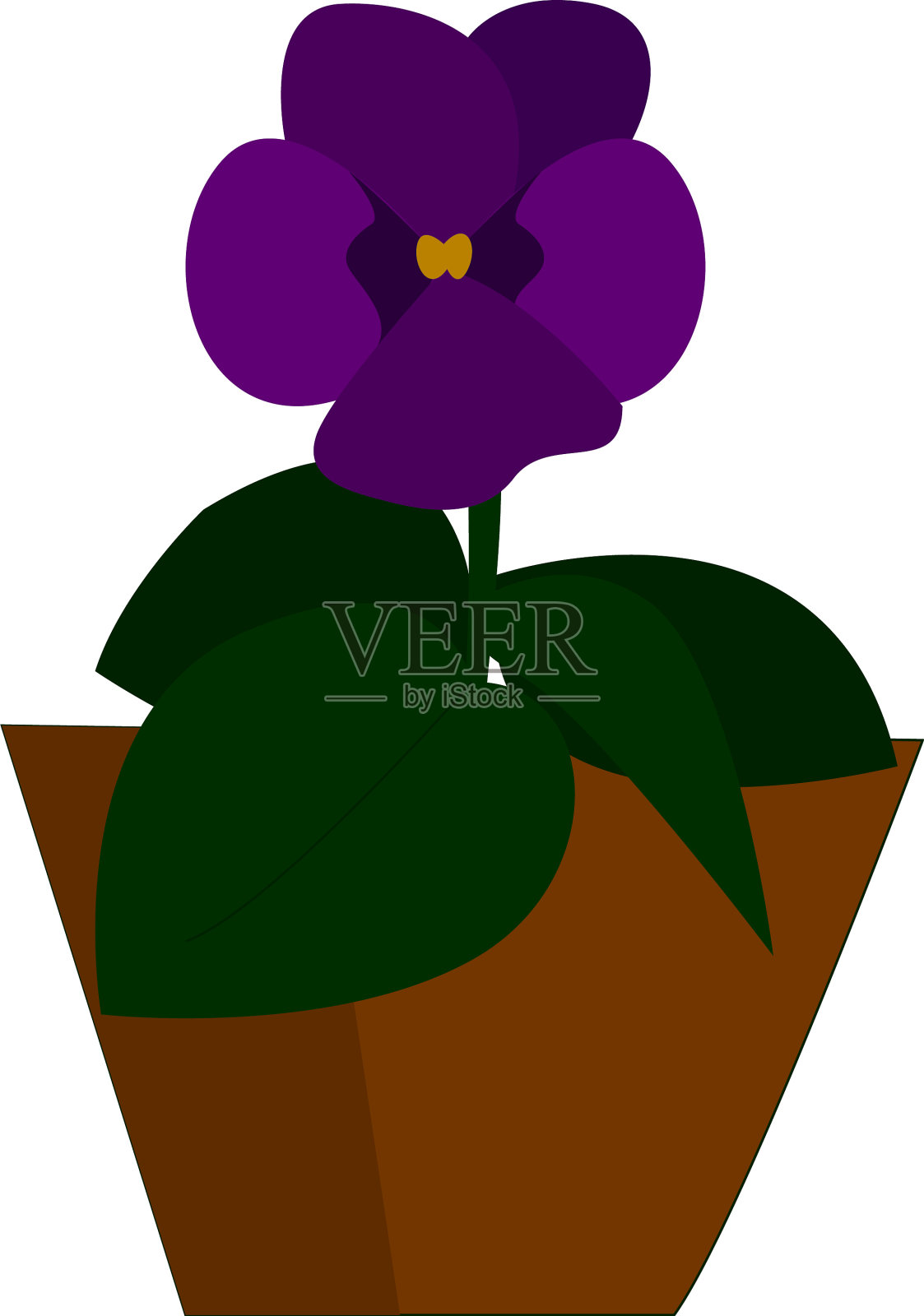 紫罗兰花或紫罗兰色设计元素图片