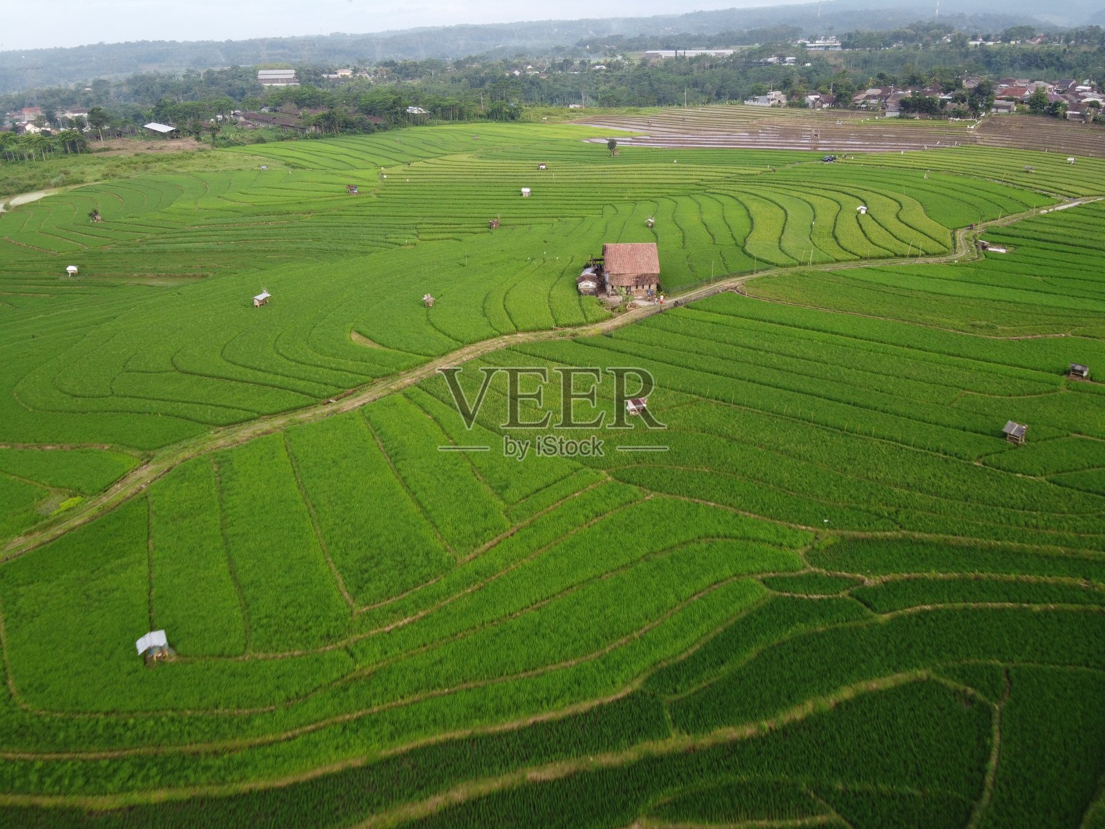 这是印尼中爪哇三宝垄市农田景观的空中全景图照片摄影图片
