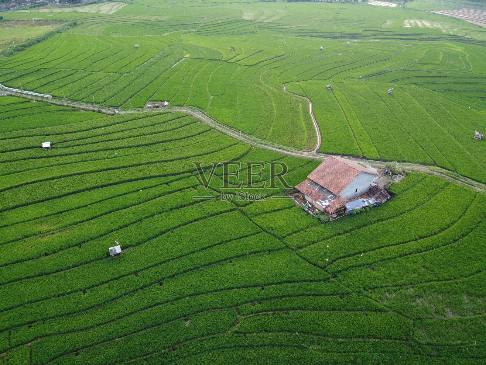 这是印尼中爪哇三宝垄市农田景观的空中全景图照片摄影图片
