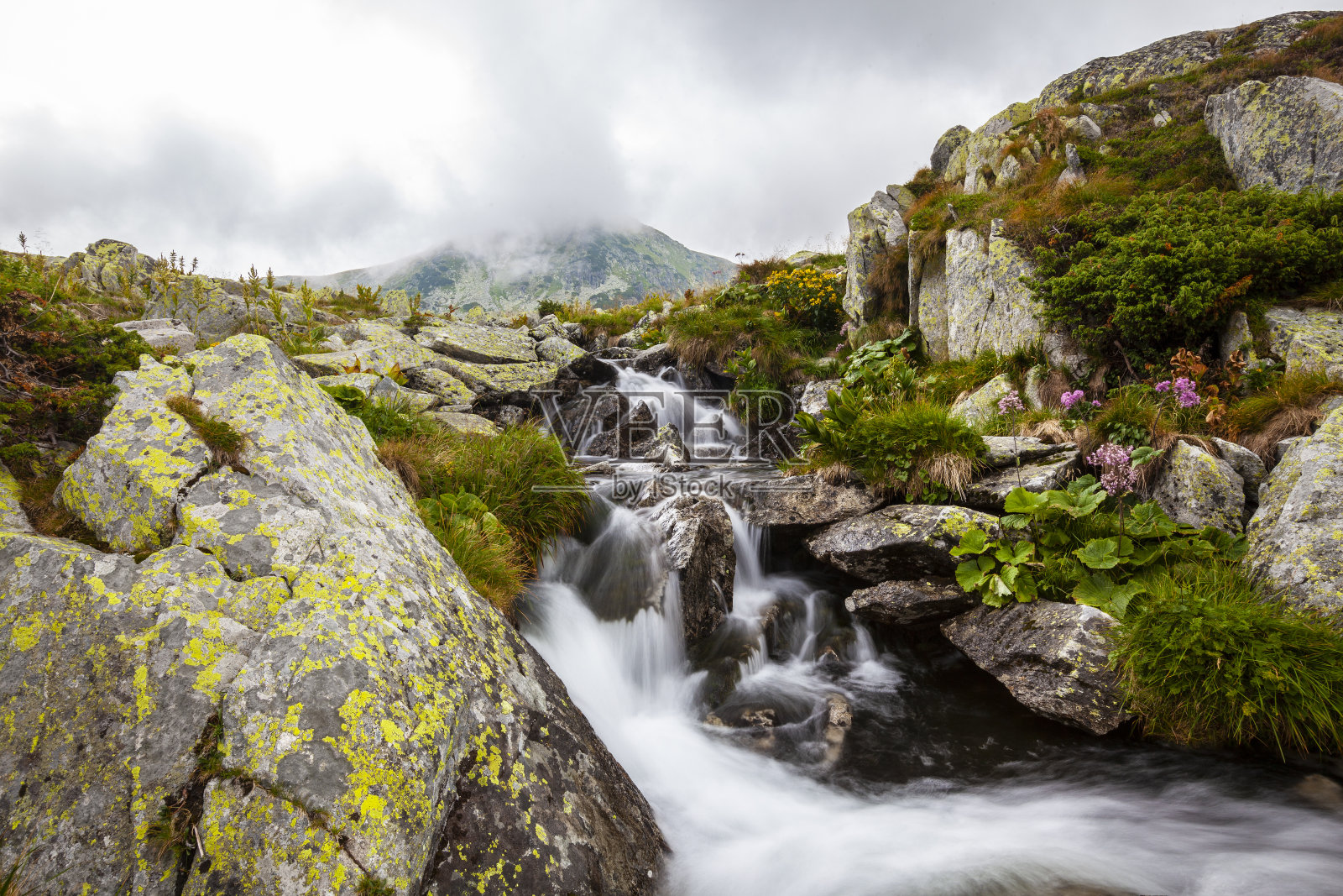 夏天的山景很美，有郁郁葱葱的绿树和雨云照片摄影图片