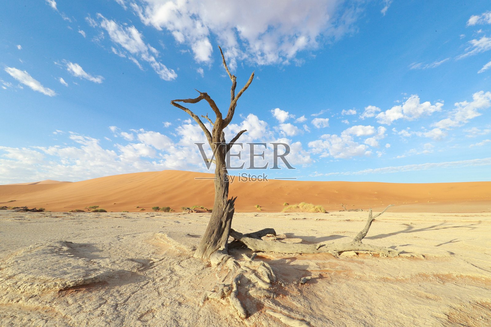 戴德夫莱照片摄影图片