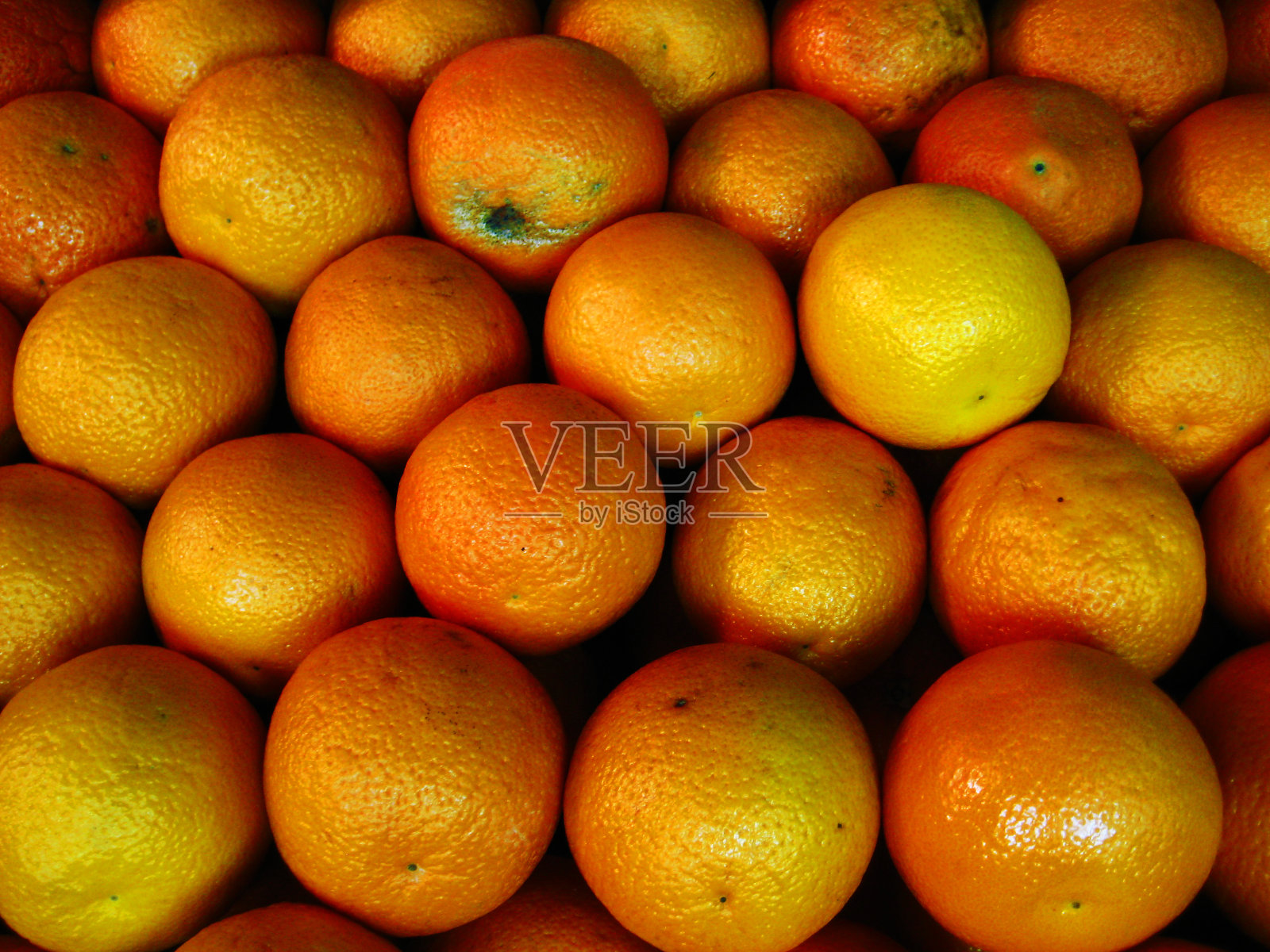 橙子照片摄影图片