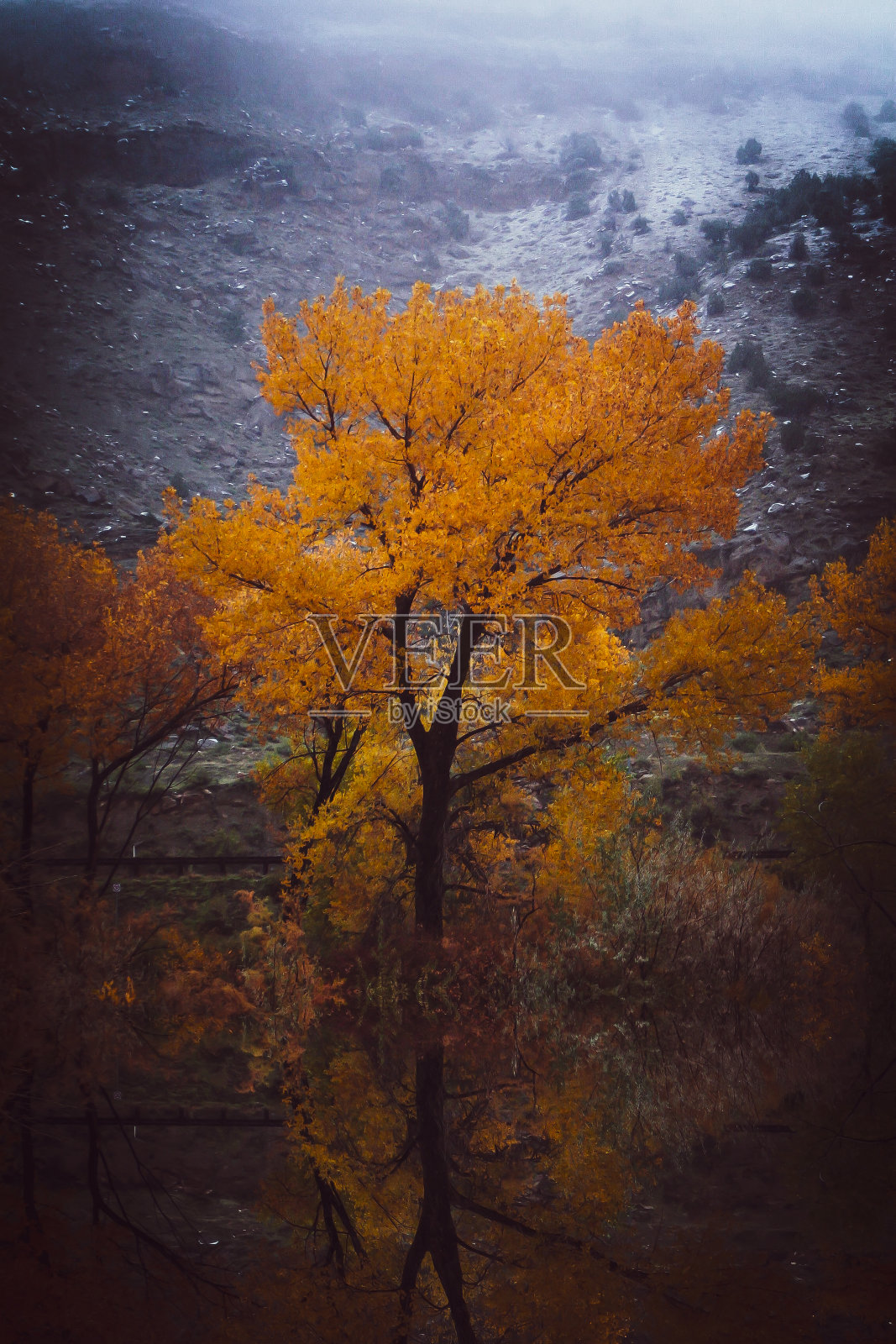 詹姆斯·d·罗柏岛英亩公园，科罗拉多州照片摄影图片