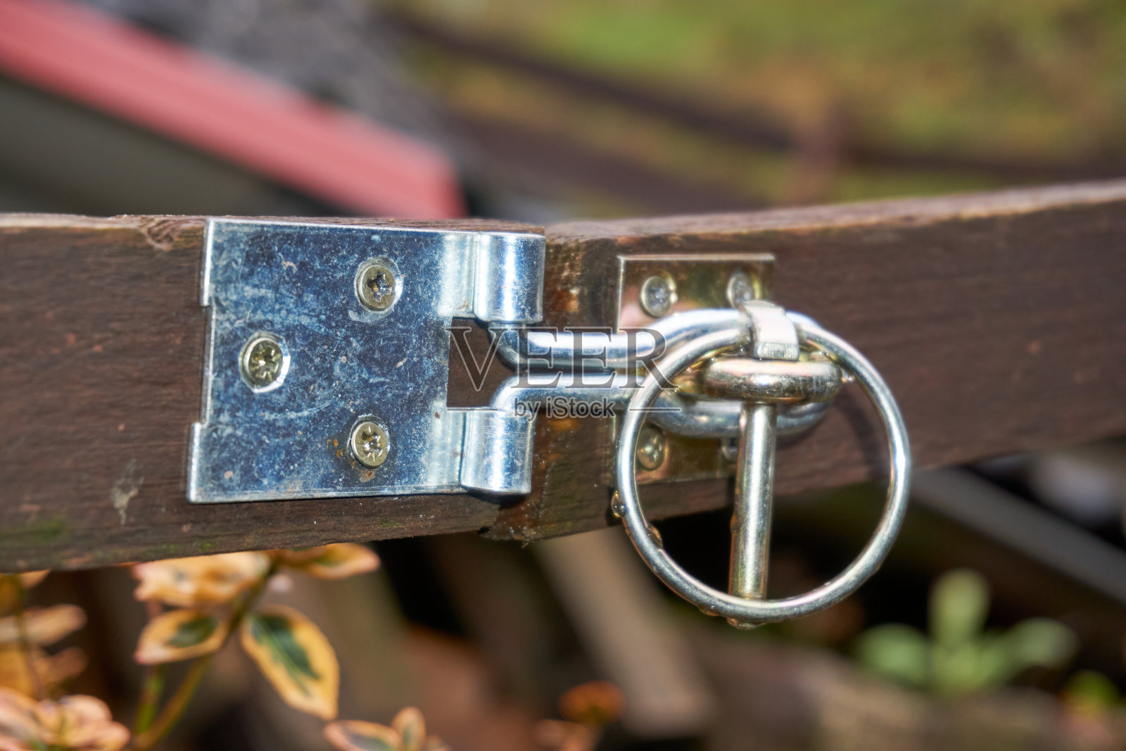 木门上的滑动门闩被拍摄下来。照片摄影图片