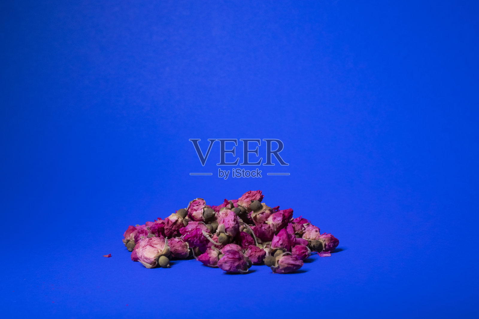 蓝色背景上的粉色小玫瑰照片摄影图片