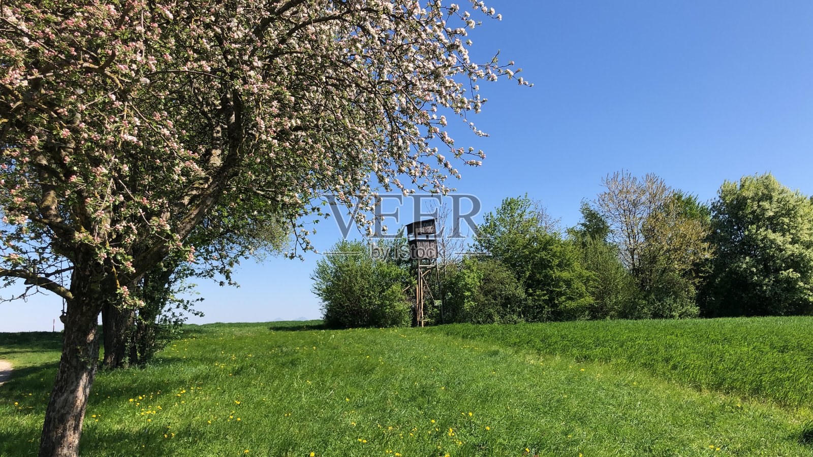 上奥地利田园诗般的宁静风景照片摄影图片