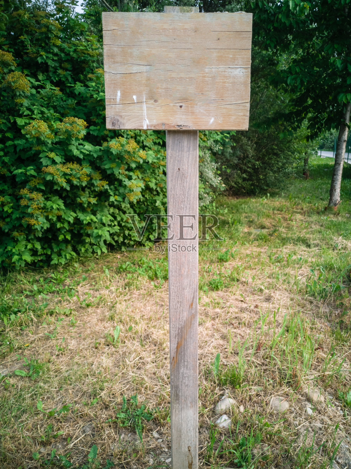 阳光明媚的一天，花园中的木框架照片摄影图片