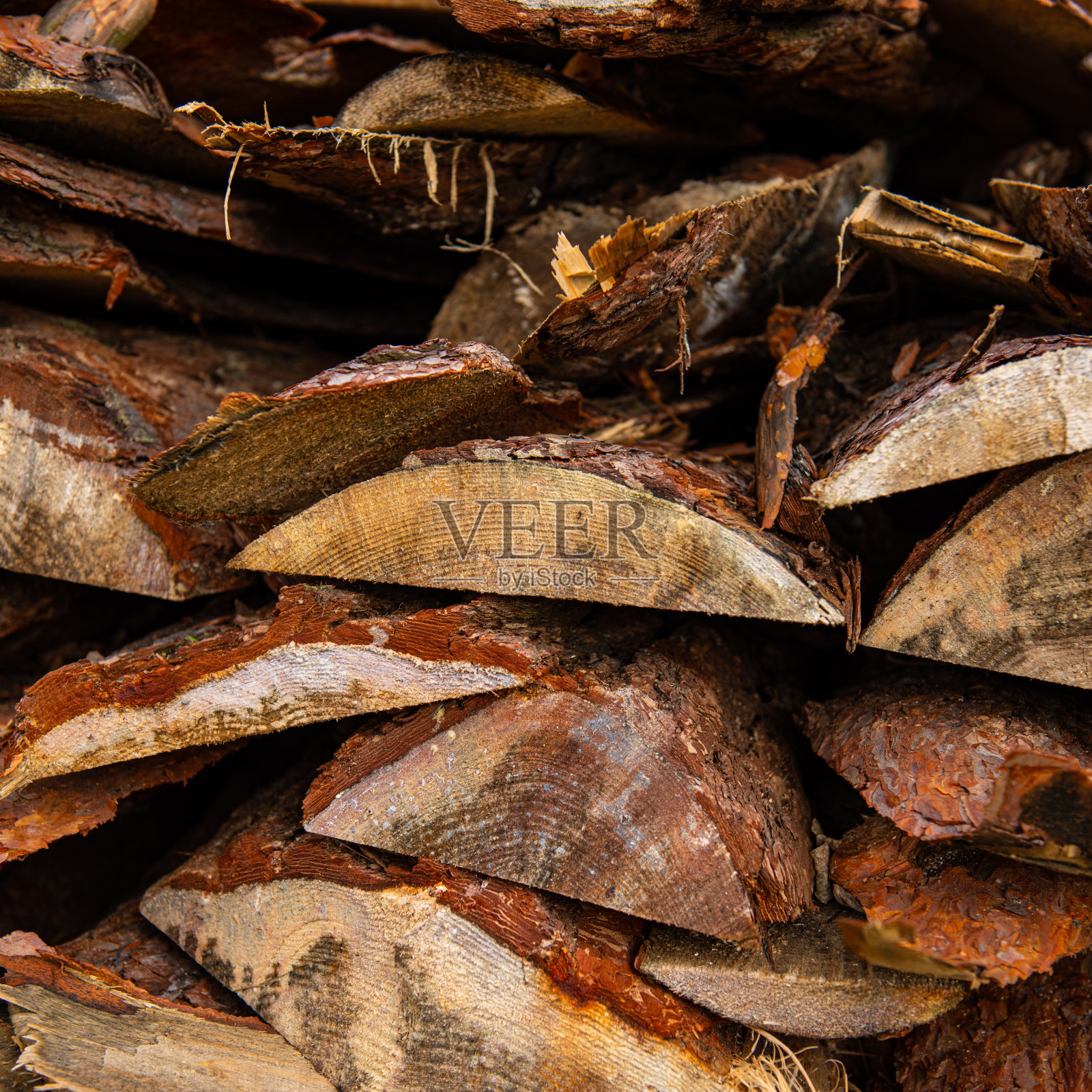 折叠在树冠下晾干的松木照片摄影图片