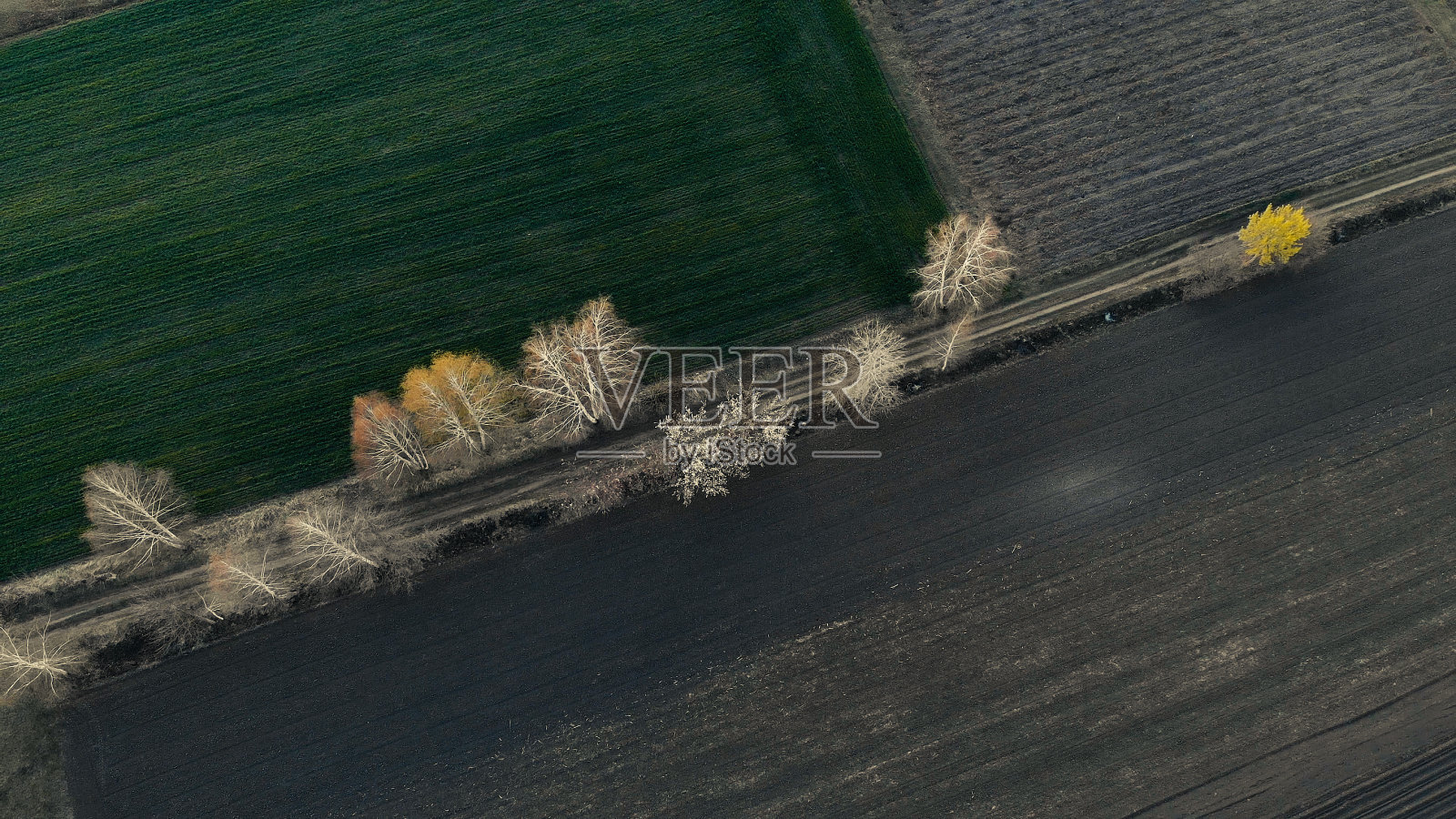 大自然，田野，道路，树木在上面被无人机照片摄影图片