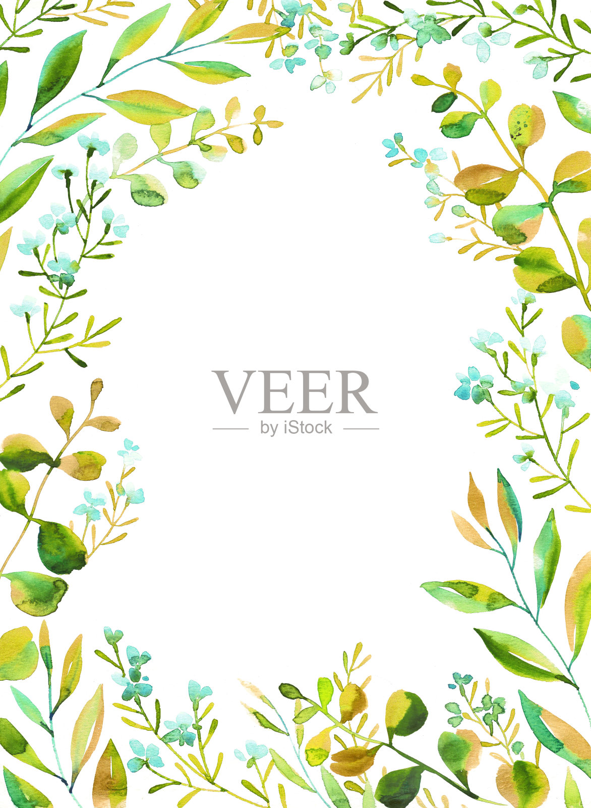 花卉框架卡片模板。副本的空间。插画图片素材