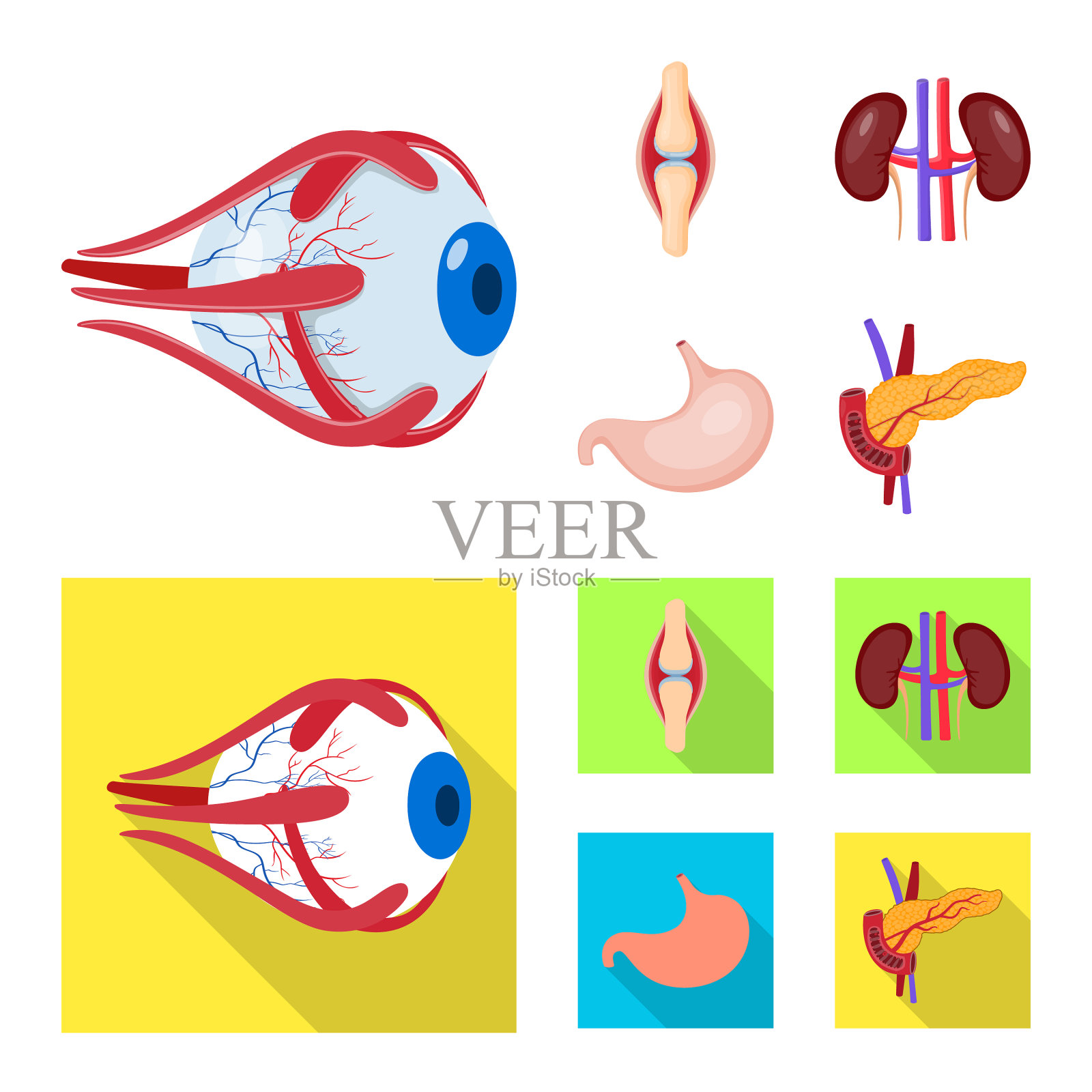 设计生物学和科学符号插画图片素材