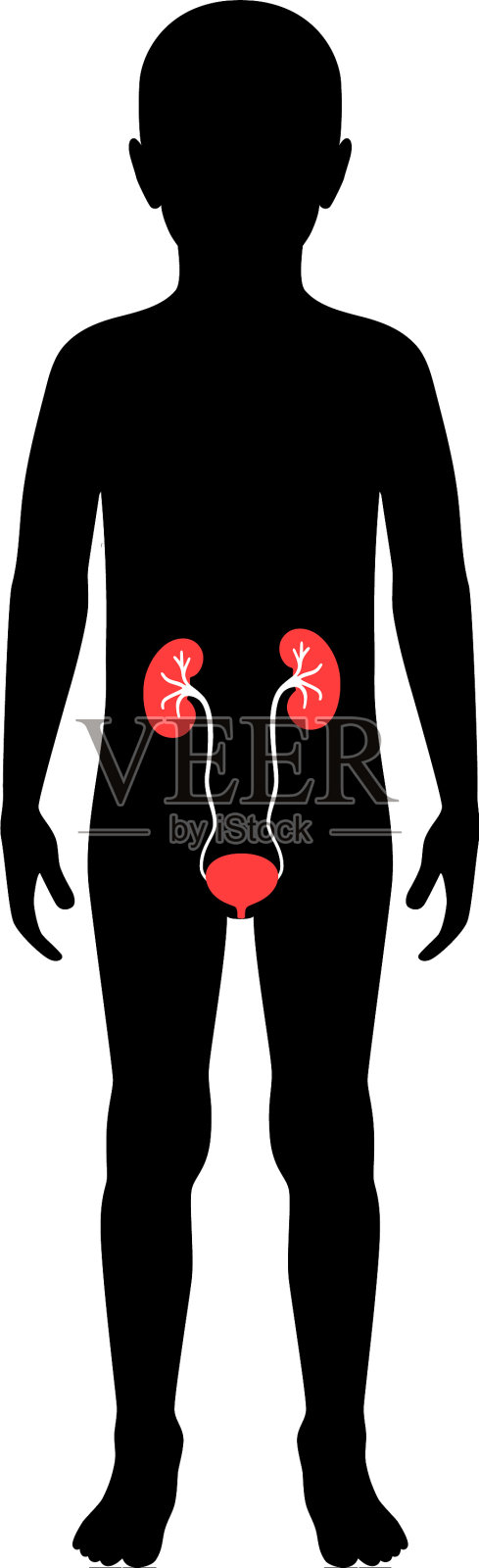 孤立肾设计元素图片