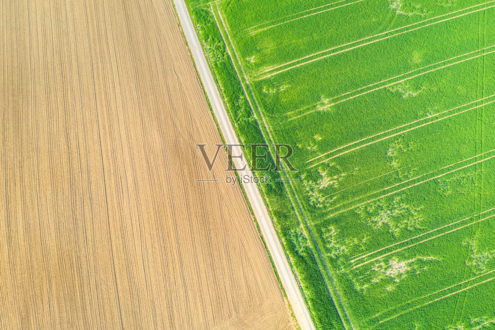 从上面看到的农业景观照片摄影图片