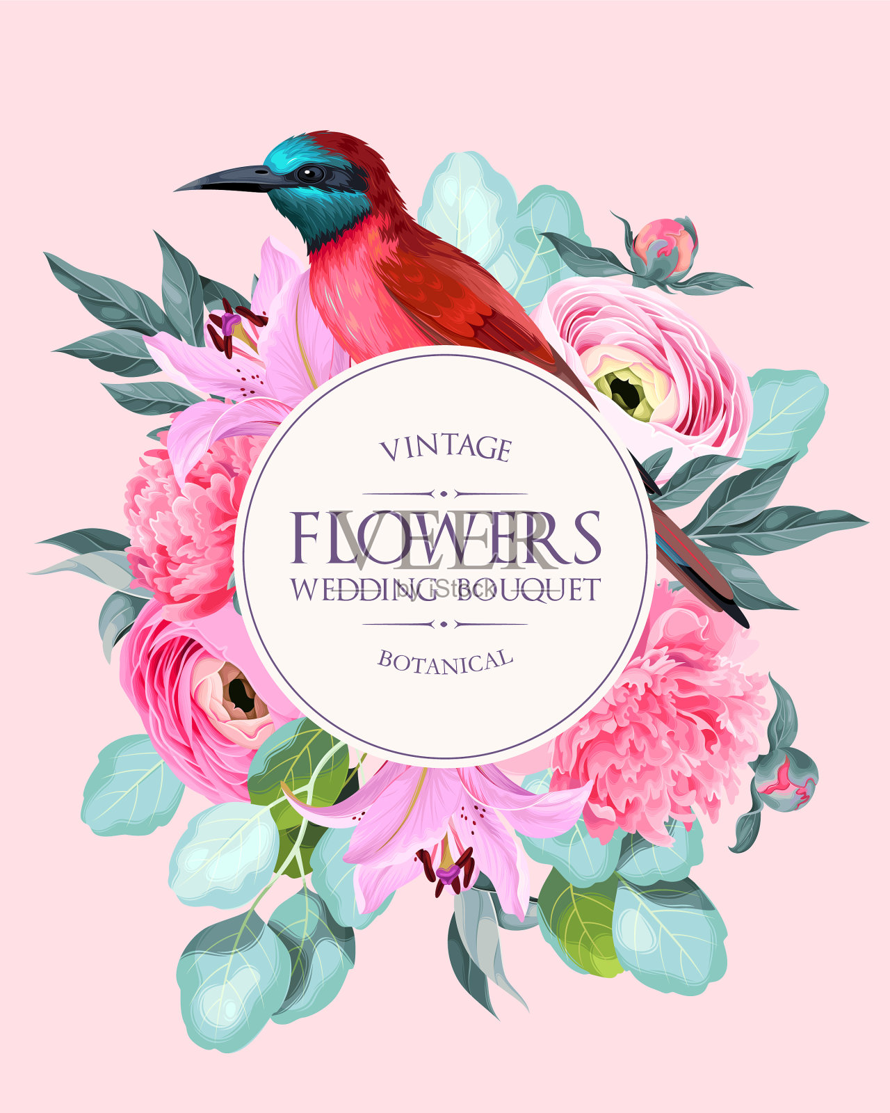 有花和鸟的老式卡片插画图片素材