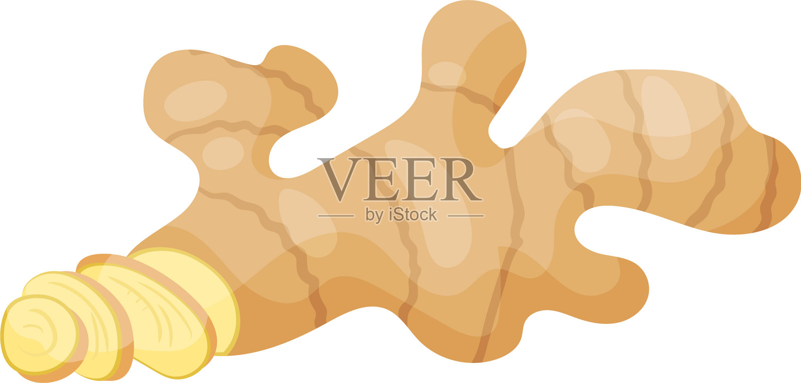 有机生姜切成小片插画图片素材