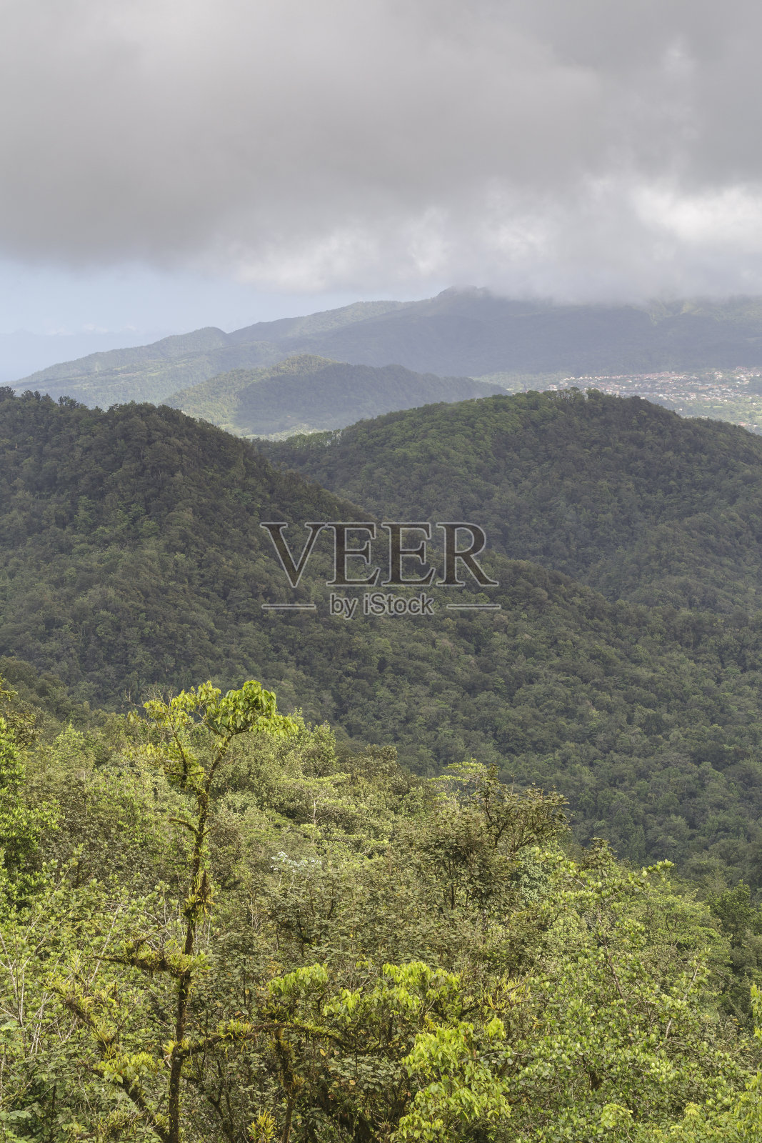 马提尼克岛热带岛屿。照片摄影图片