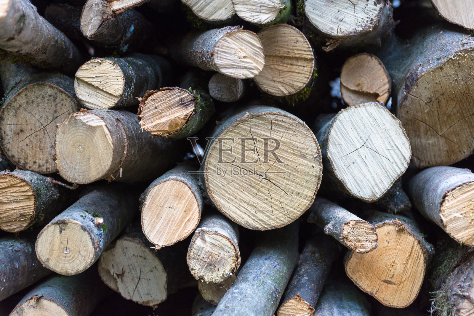 堆放在仓库里的砍倒的树干照片摄影图片