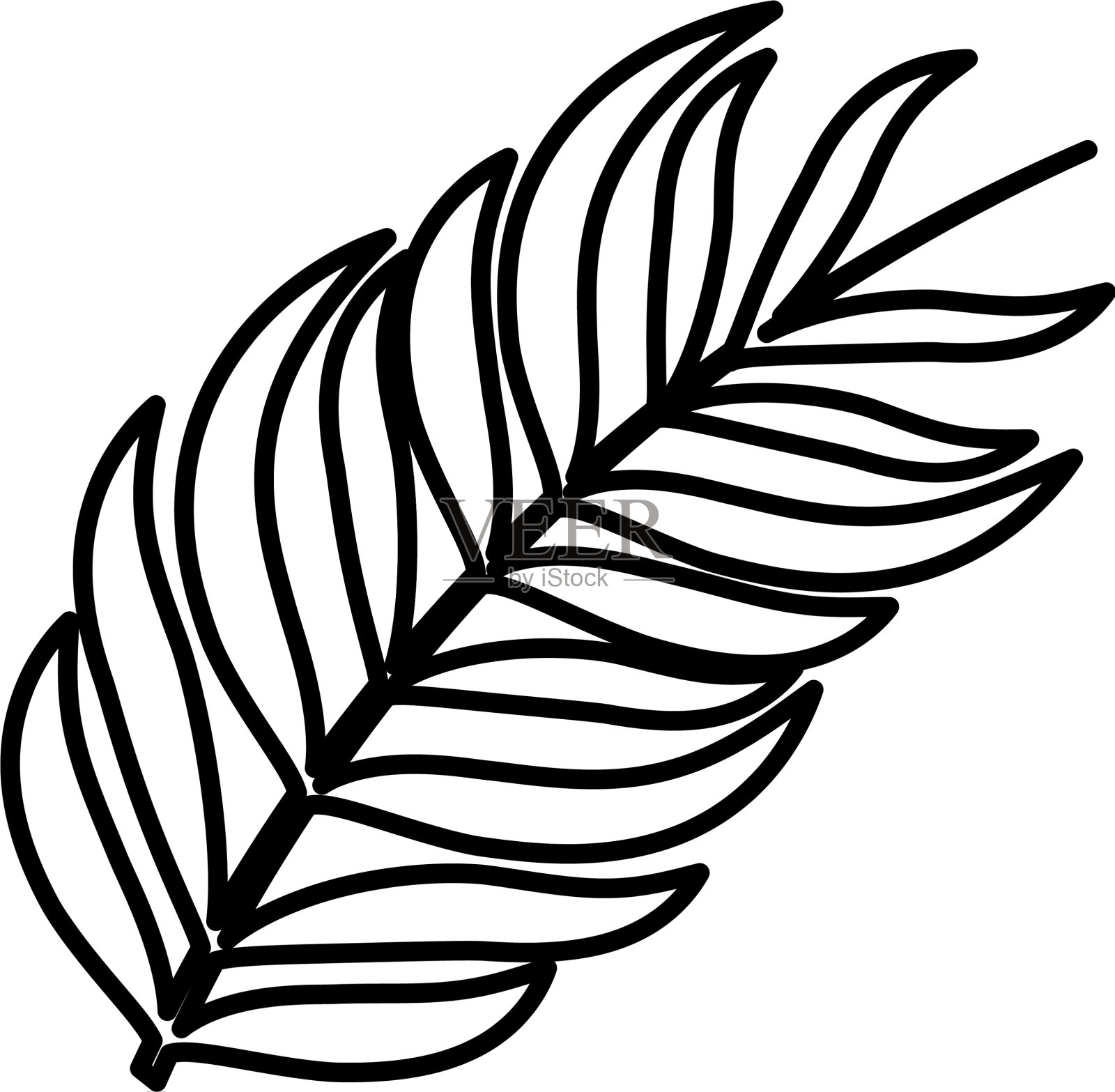 热带叶生态图标设计元素图片