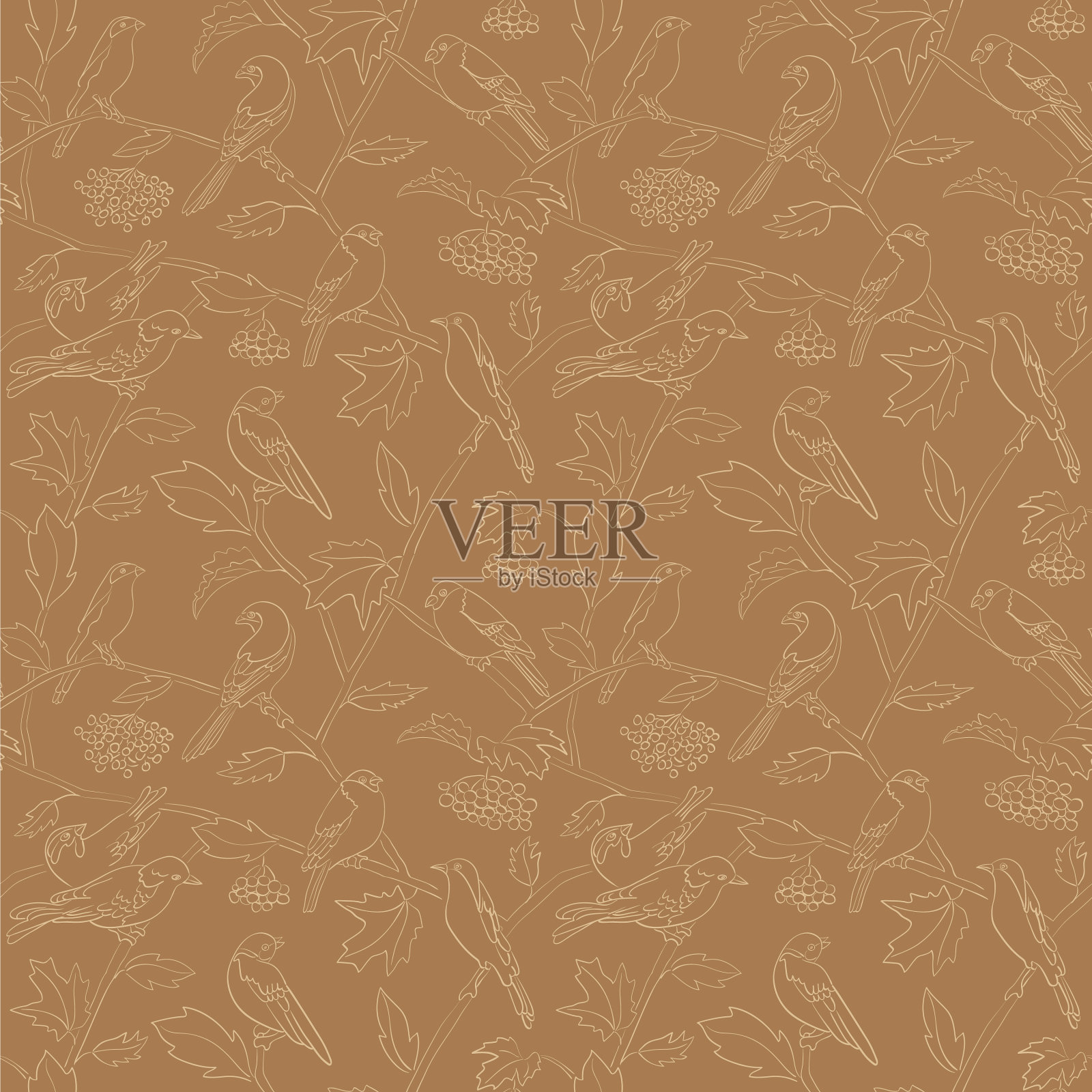 动植物-花楸枝与鸟插画图片素材