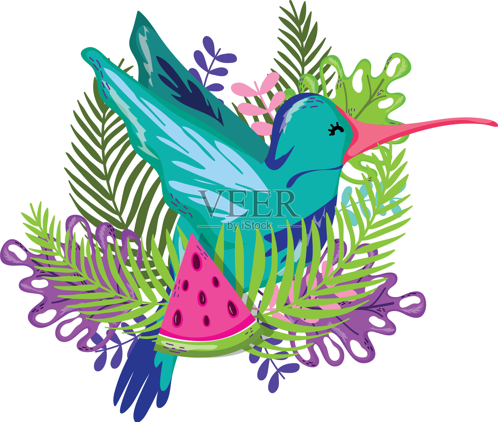 珍奇鸟与夏日设计元素图片