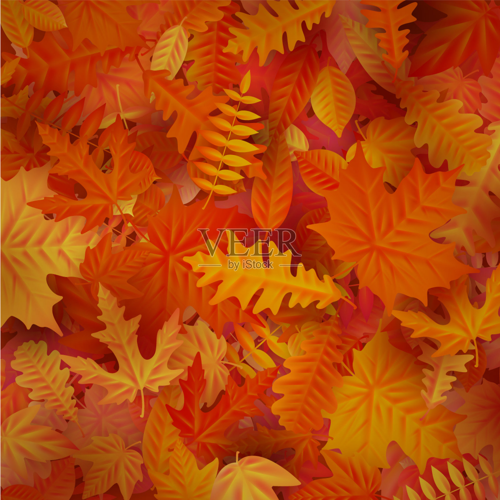 红色和橙色的秋叶背景eps 10插画图片素材