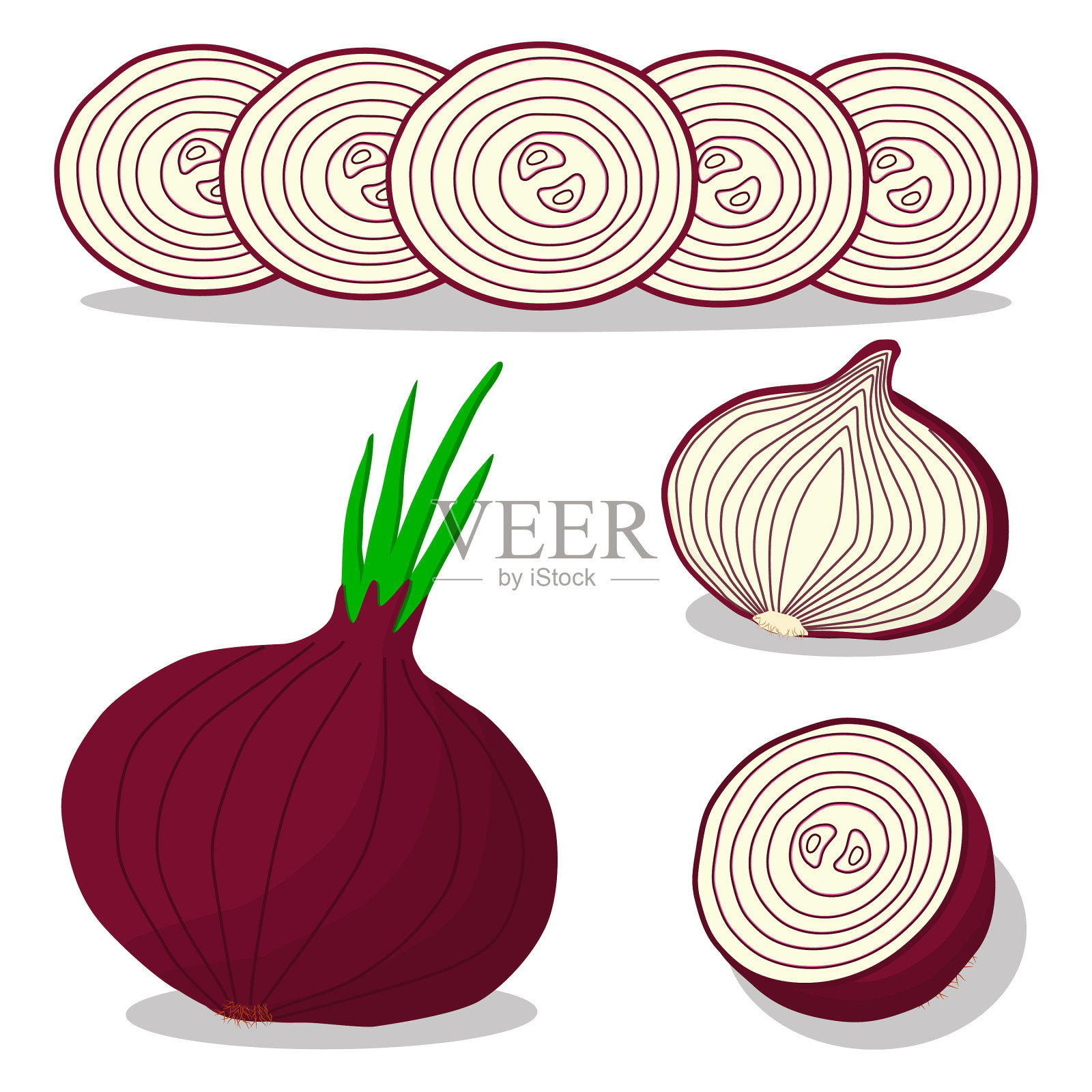 蔬菜圆葱插画图片素材