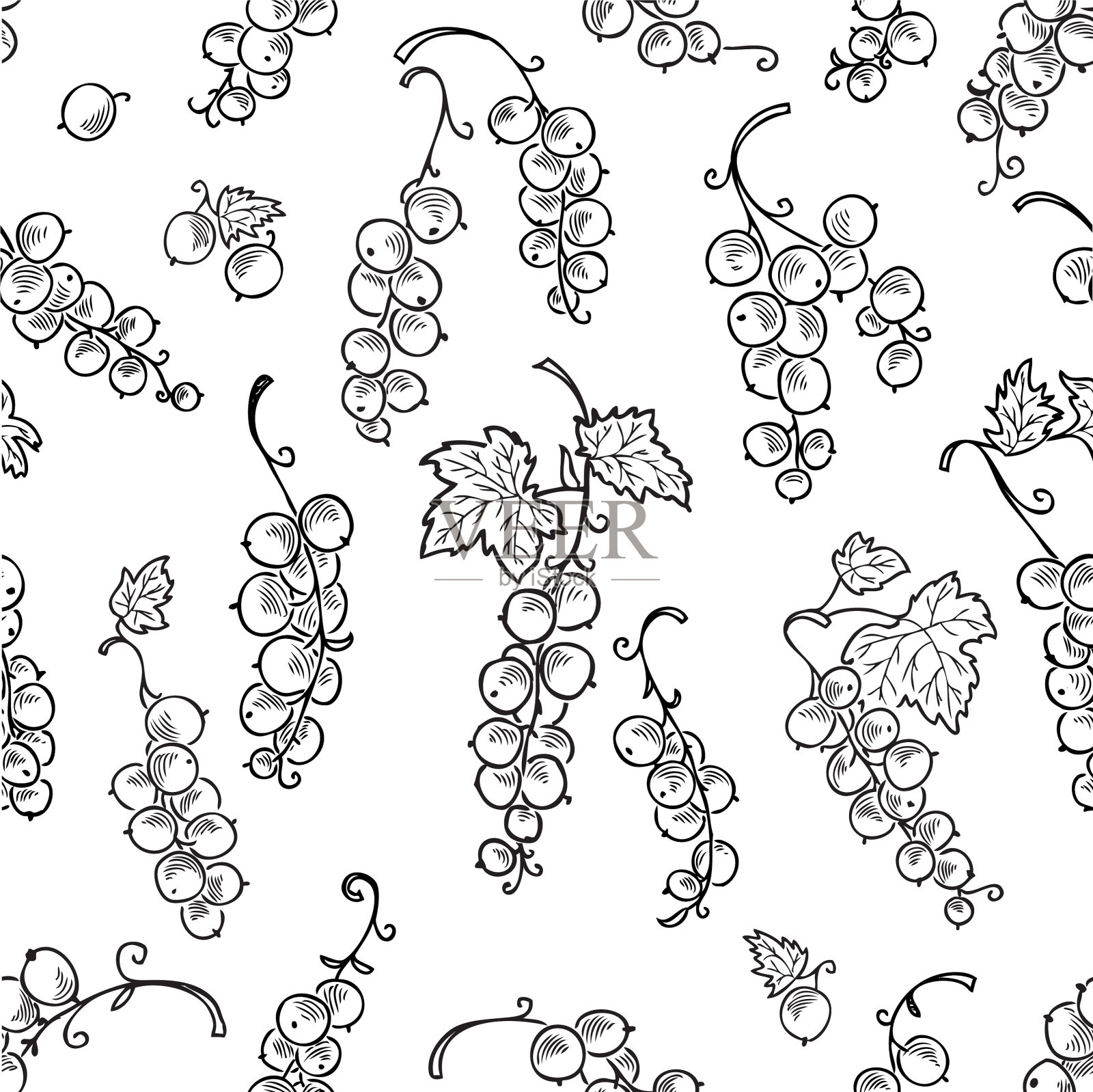 无缝背景的drawn醋栗插画图片素材