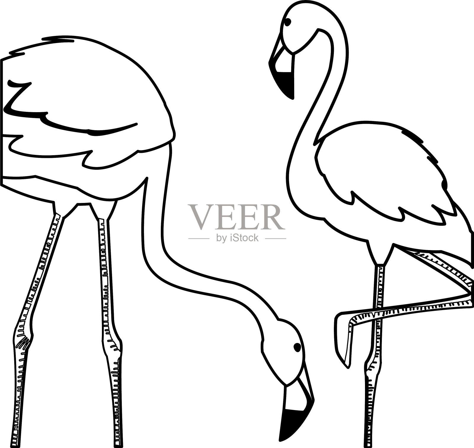 异国情调的佛兰德夫妇的不同姿势设计元素图片