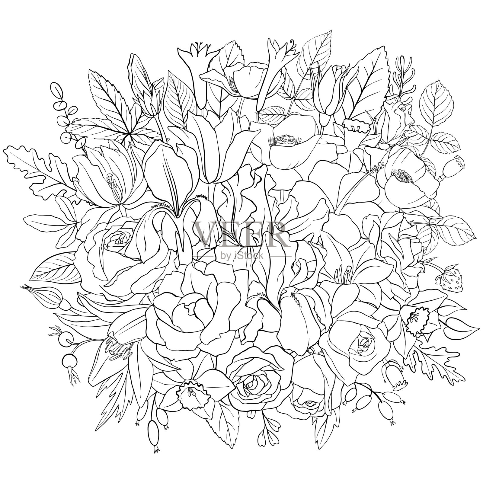 植物成分设计元素图片