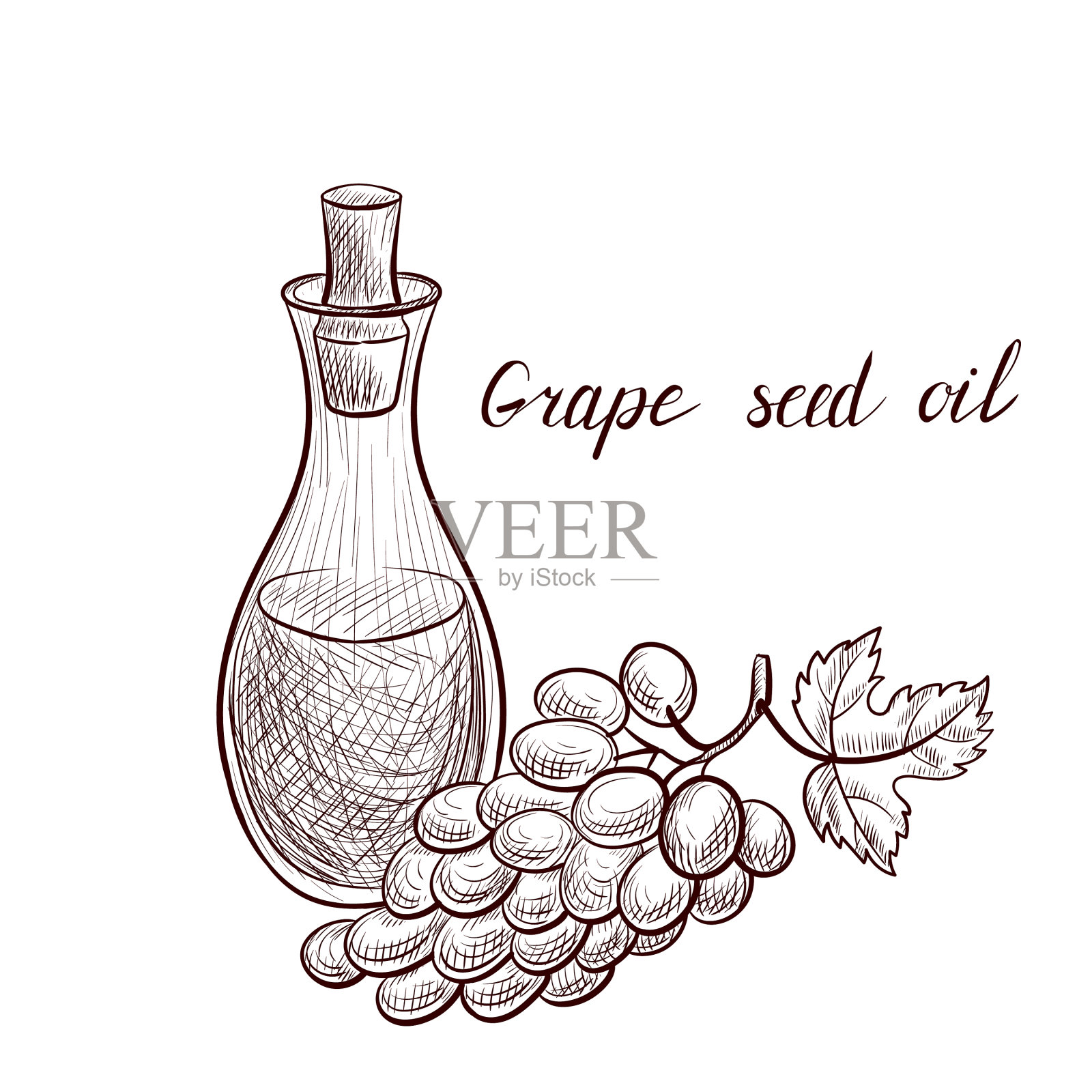 拔葡萄籽油设计元素图片