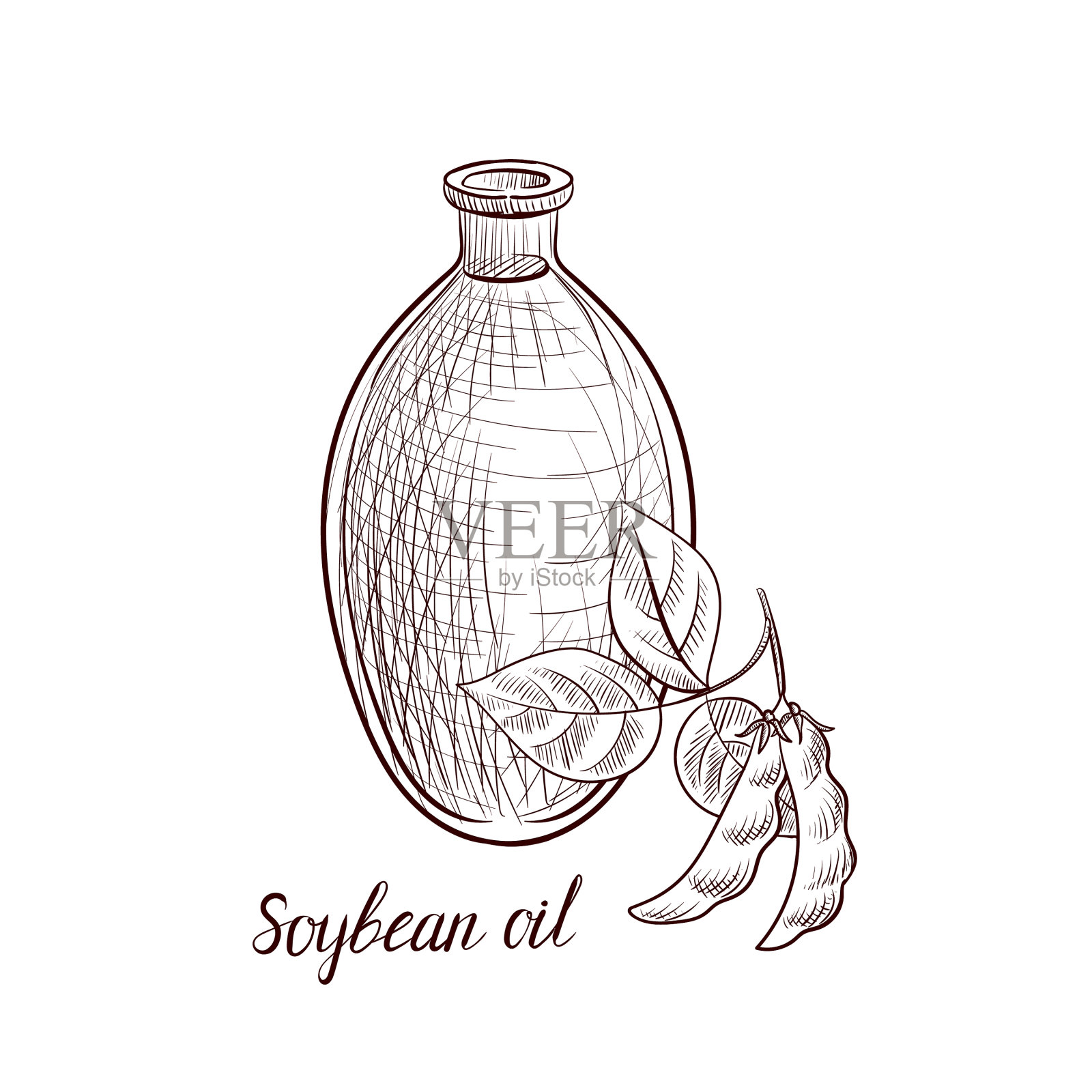 画大豆油设计元素图片