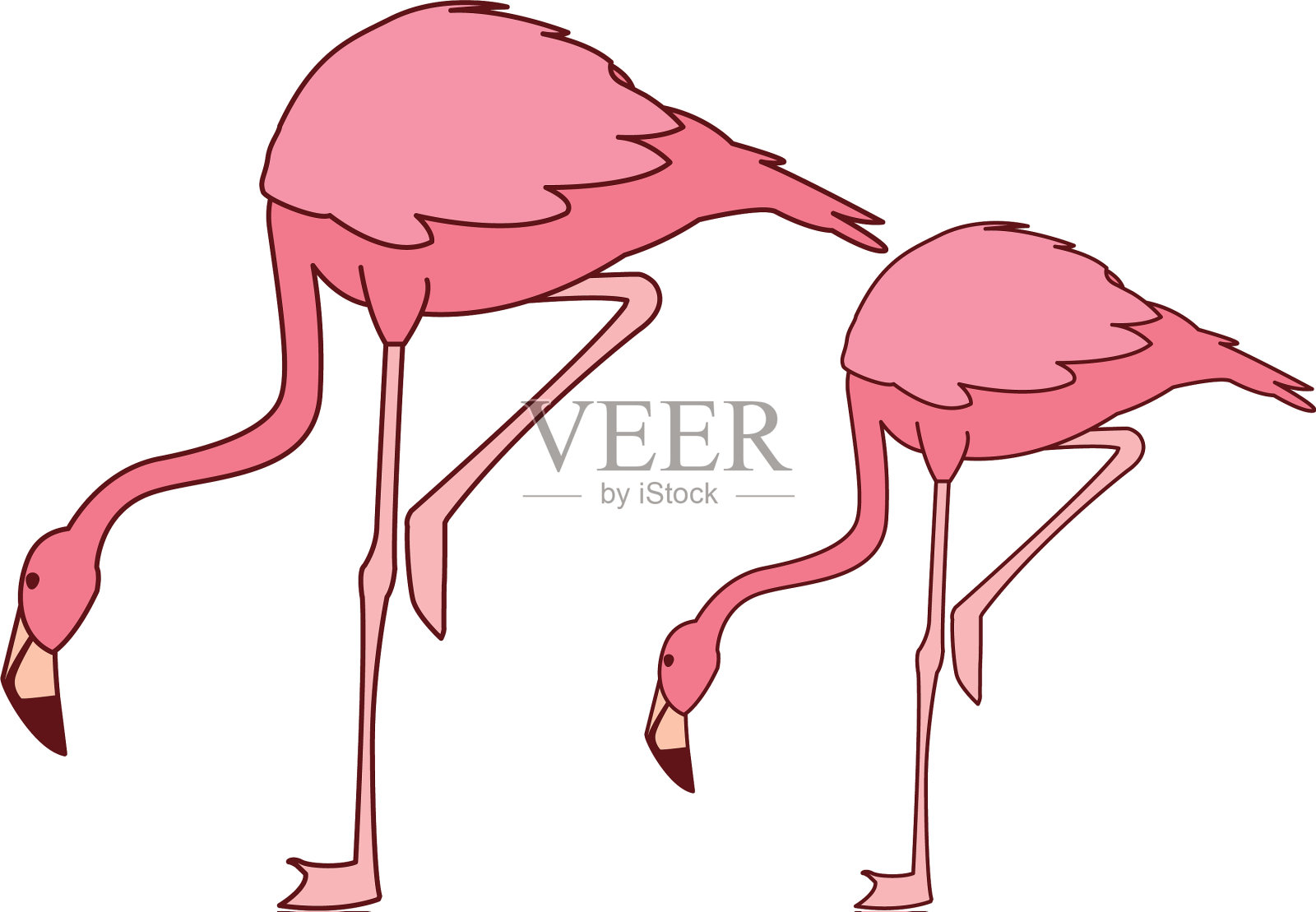 奇特的粉色佛兰德夫妇低着头设计元素图片