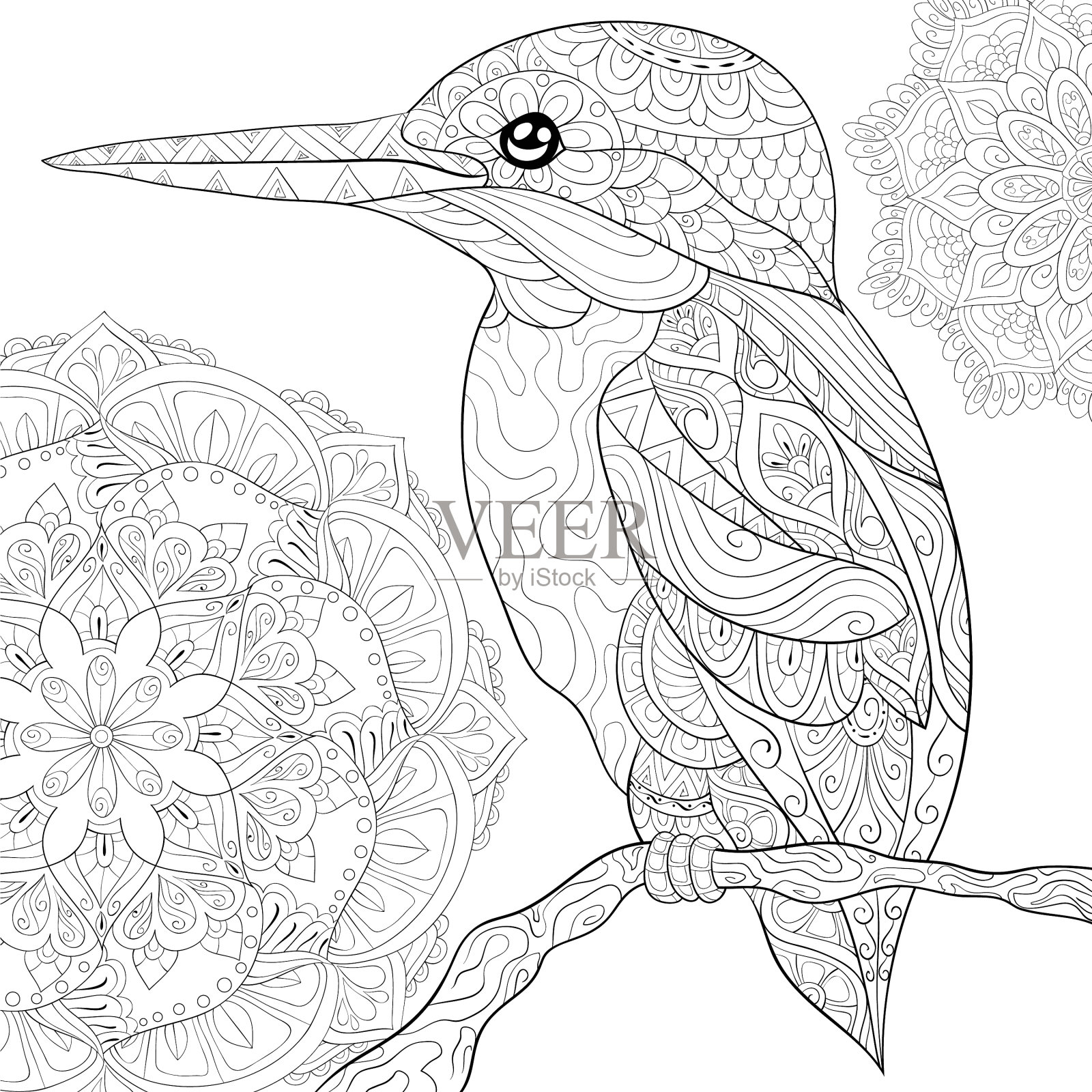成人涂色书册，可爱的小鸟形象插画图片素材