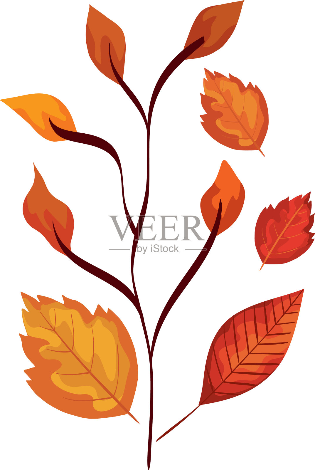 季节秋天枝与叶设计元素图片