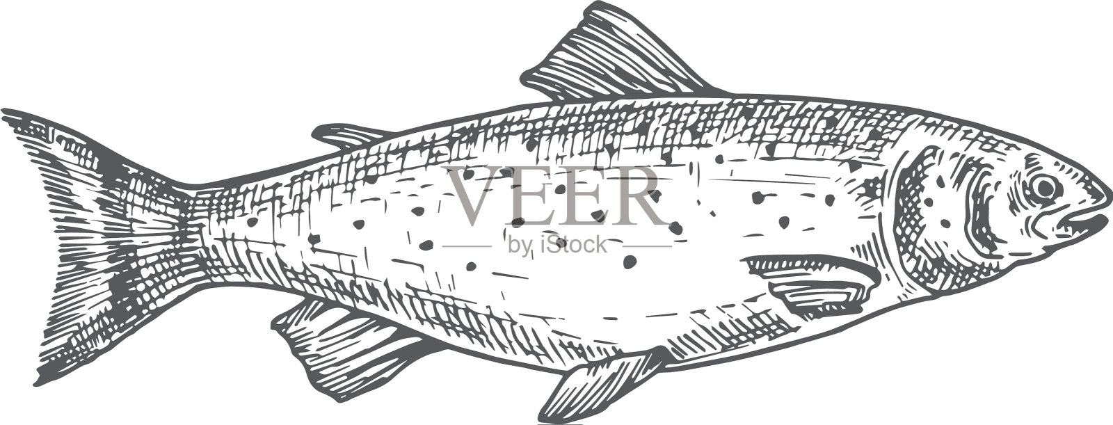 鳟鱼手绘抽象画设计元素图片