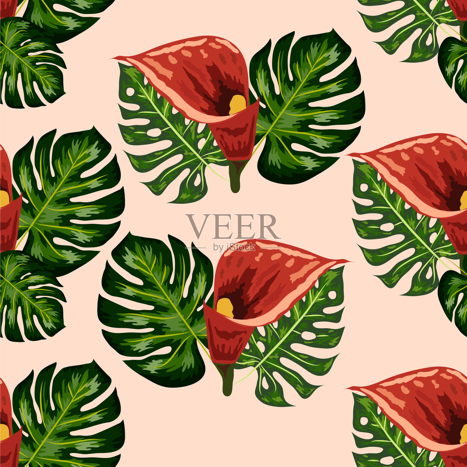 有粉红色和紫色马蹄莲的无缝图案插画图片素材