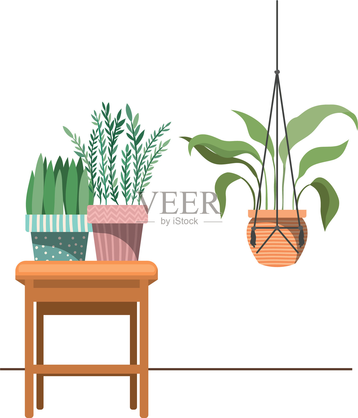 流苏衣架和桌子上的室内植物插画图片素材